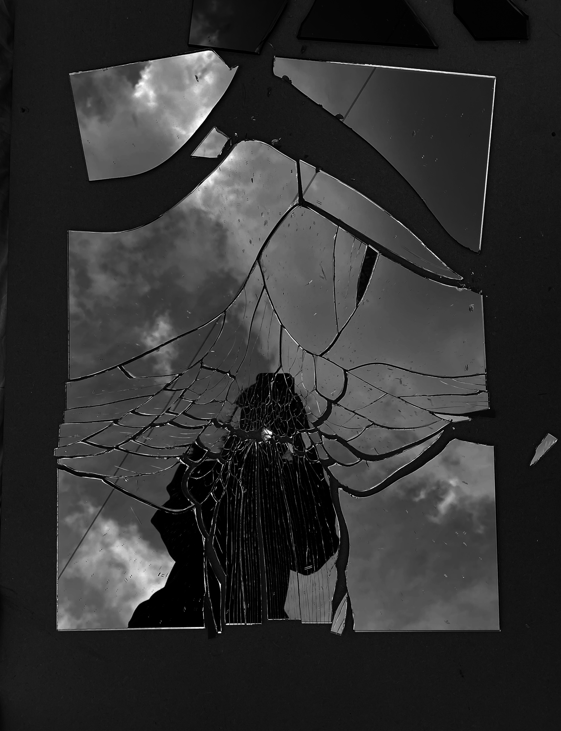 'Separated' Photograph