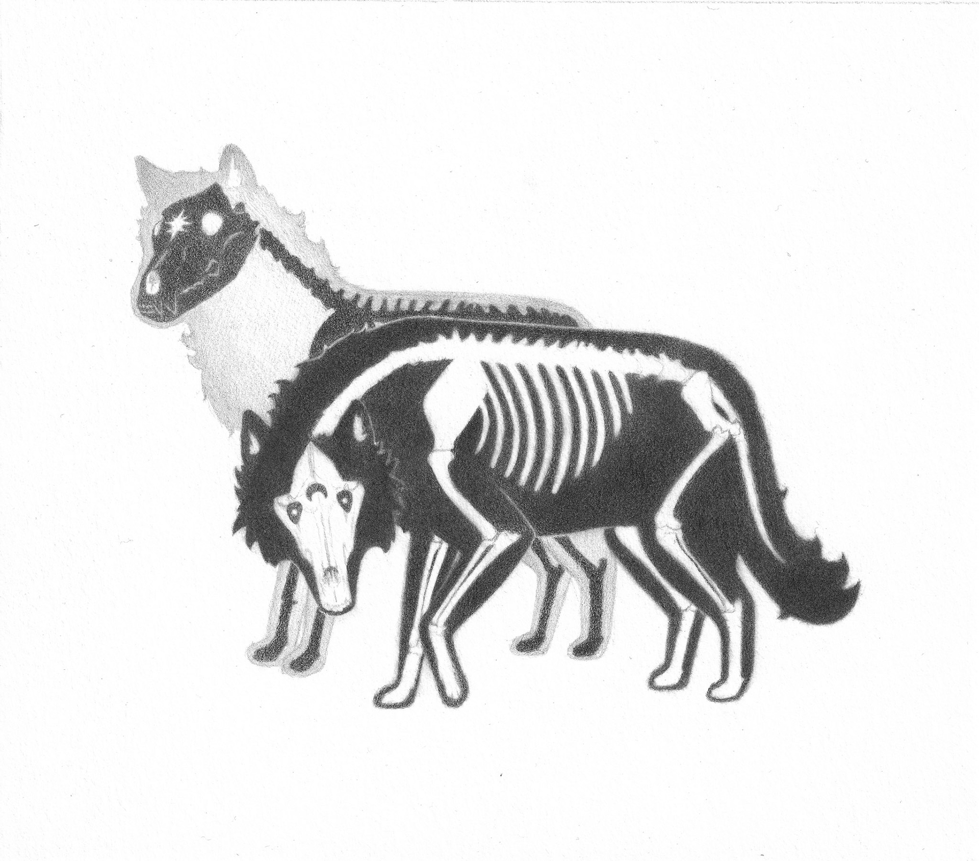 Undead Wolves - 2024