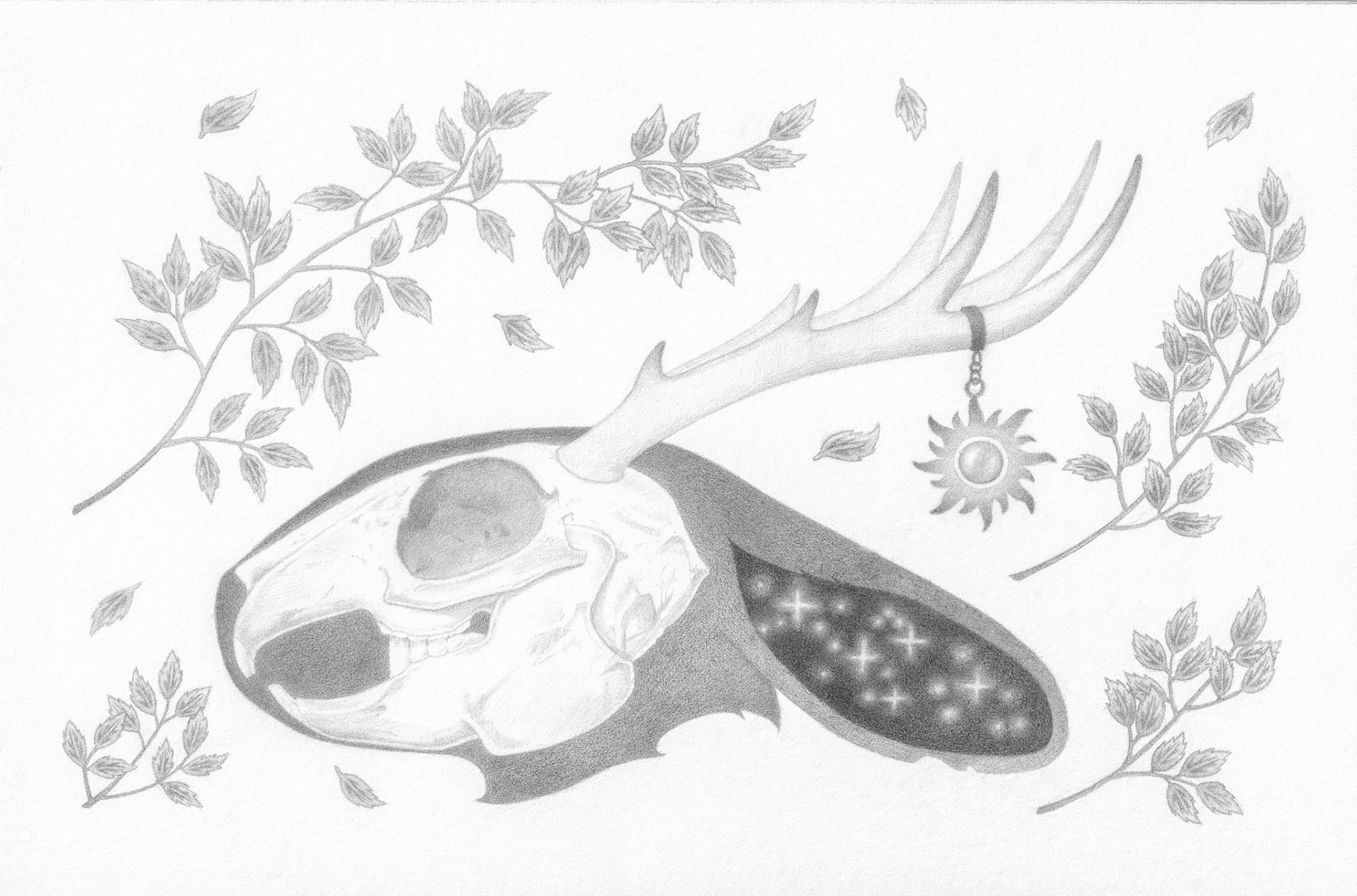 Jackalope Skull - 2025