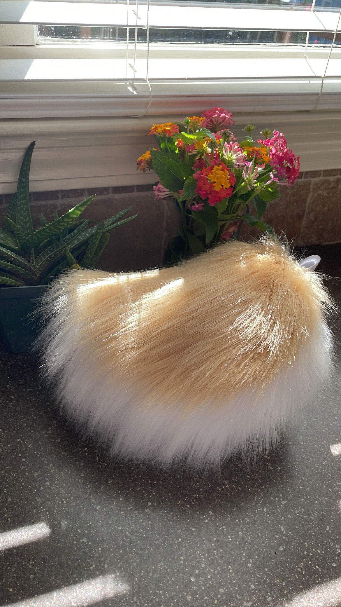 Finished deer tail