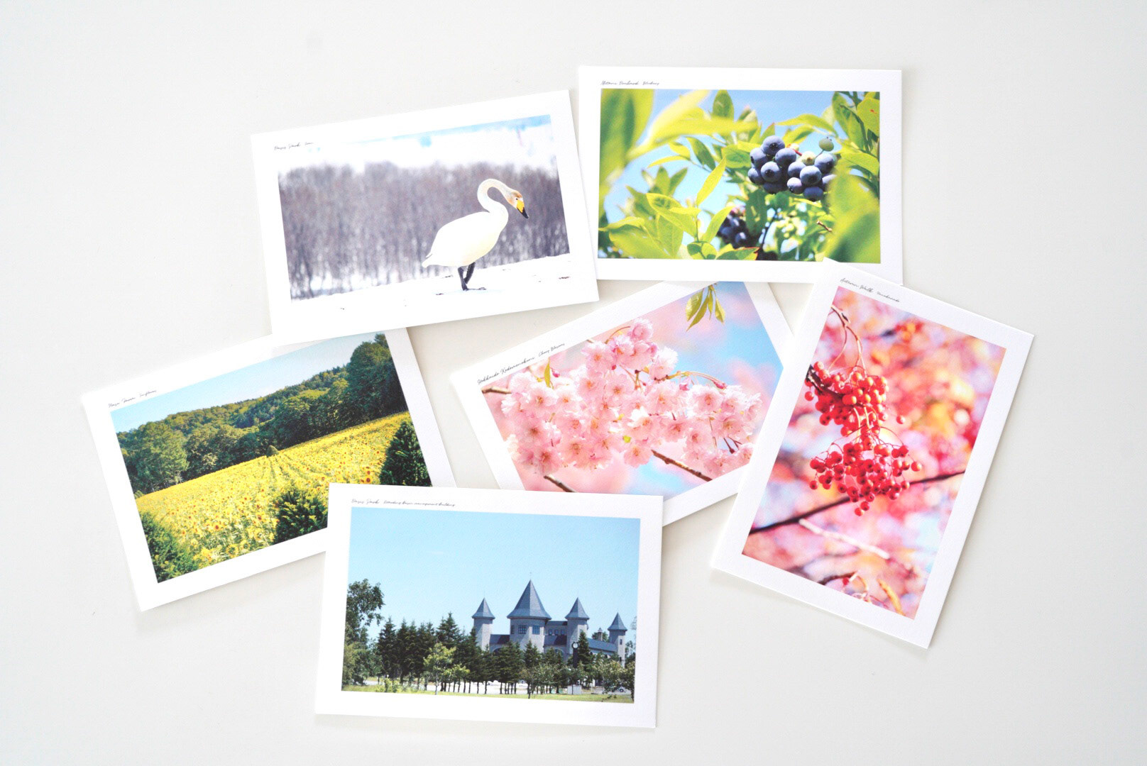 オリジナルポストカード