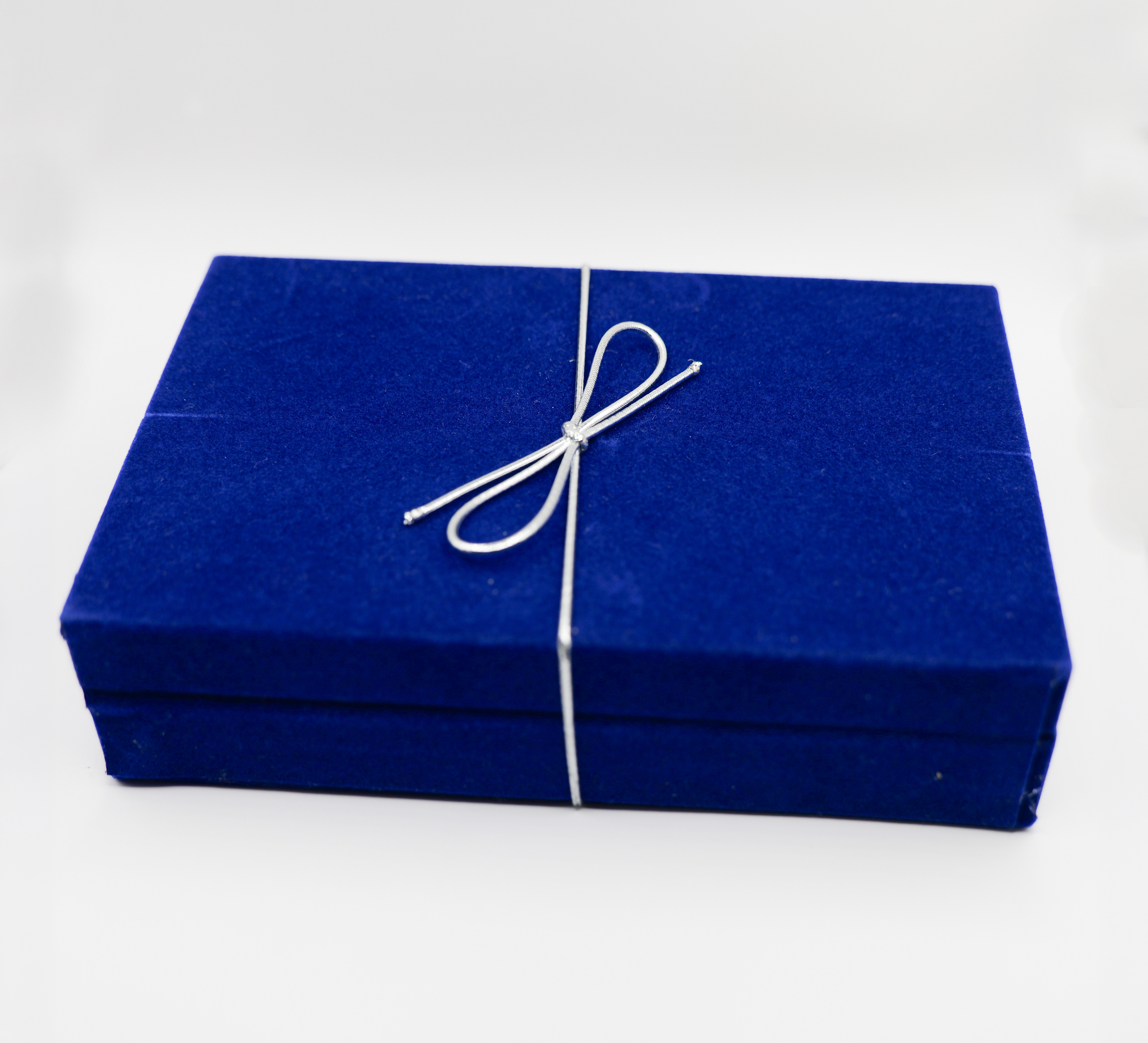 Closed Coin Case