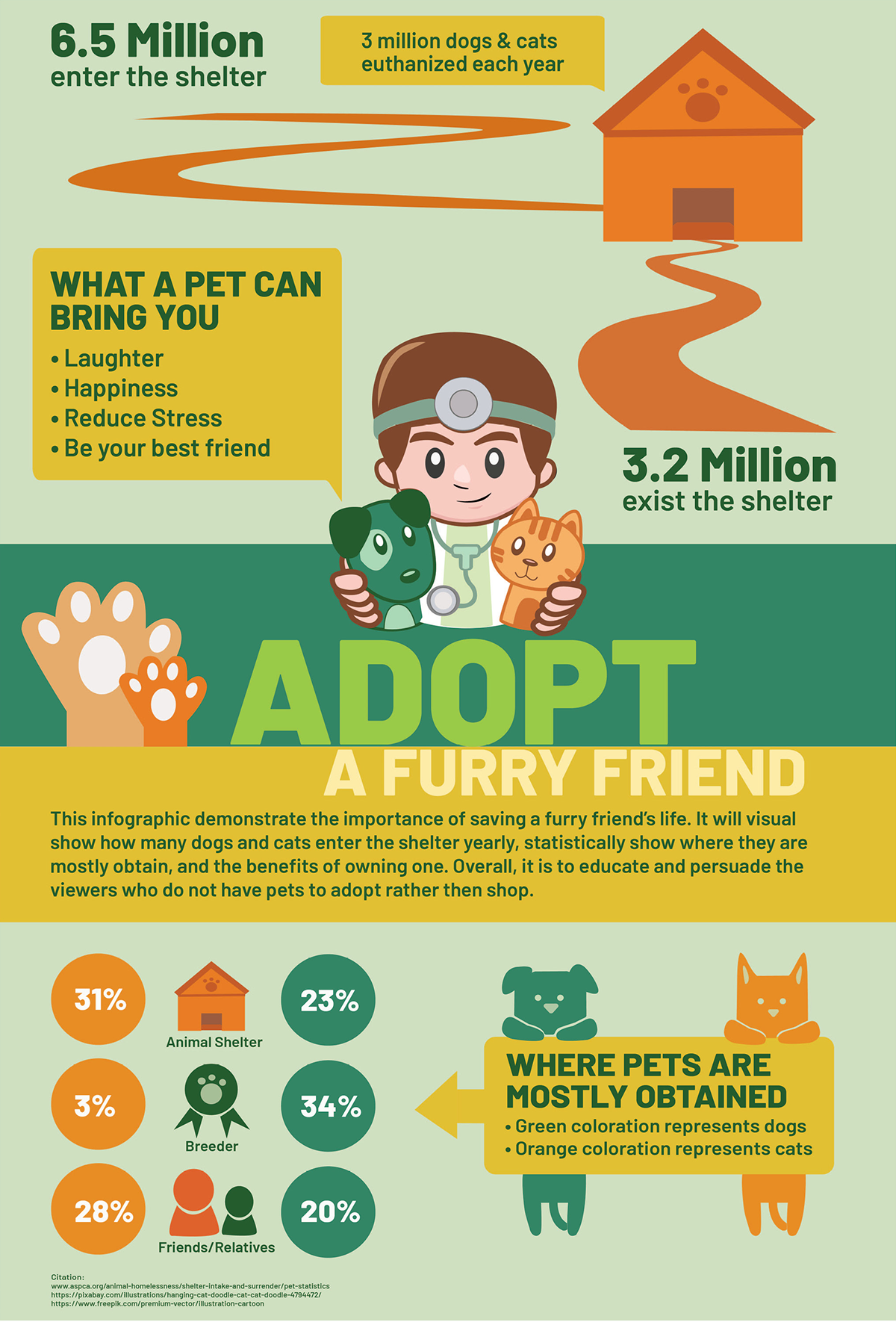 Kat Calderon - Animal Shelter Infographic