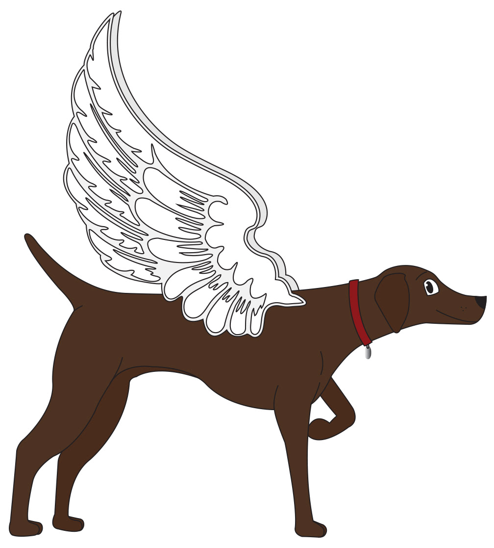 "The Adventures of Pooch: The Kitty Litter Caper" Character Profile: Pooch. Created in Adobe Illustrator. 2014