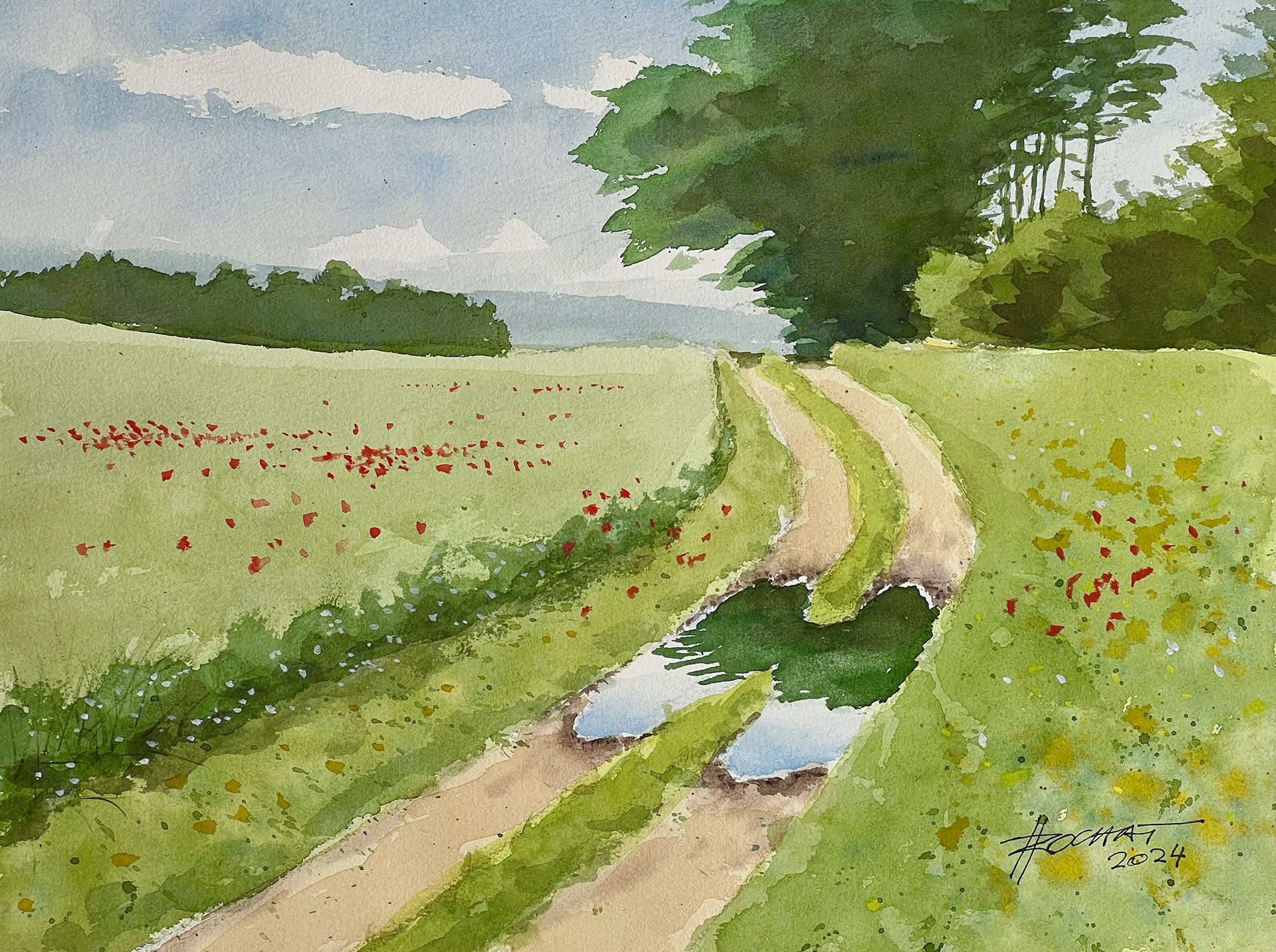 Flaques et coquelicots