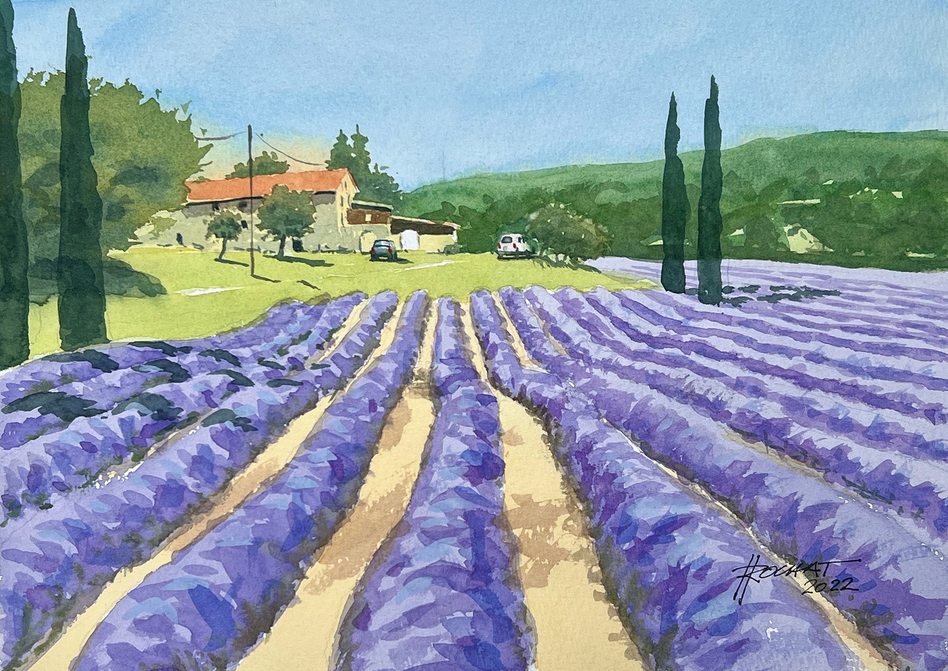 Champ de lavande 36x26