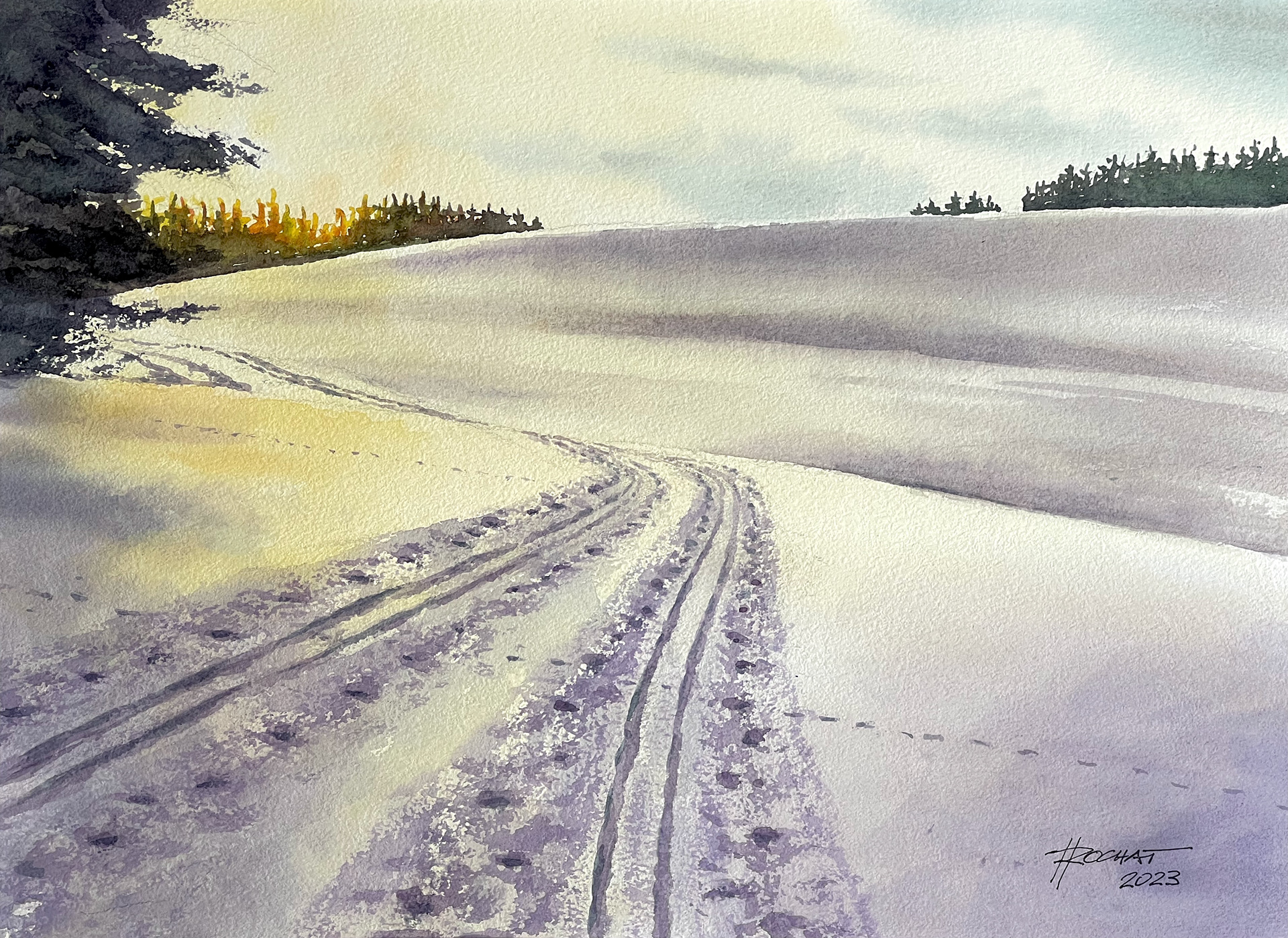 Pistes de fond dans le Jorat