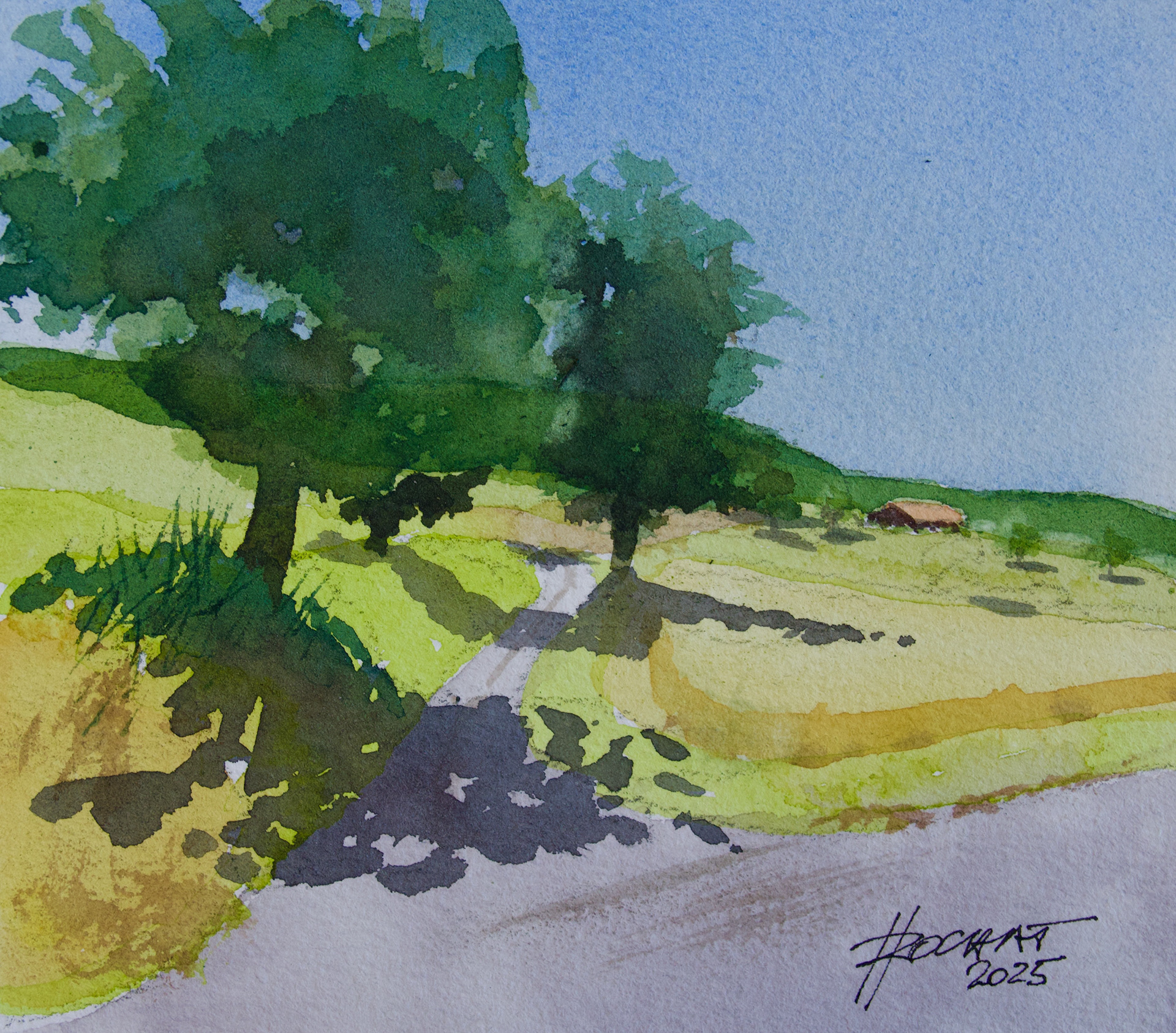 Chemin les Larets  