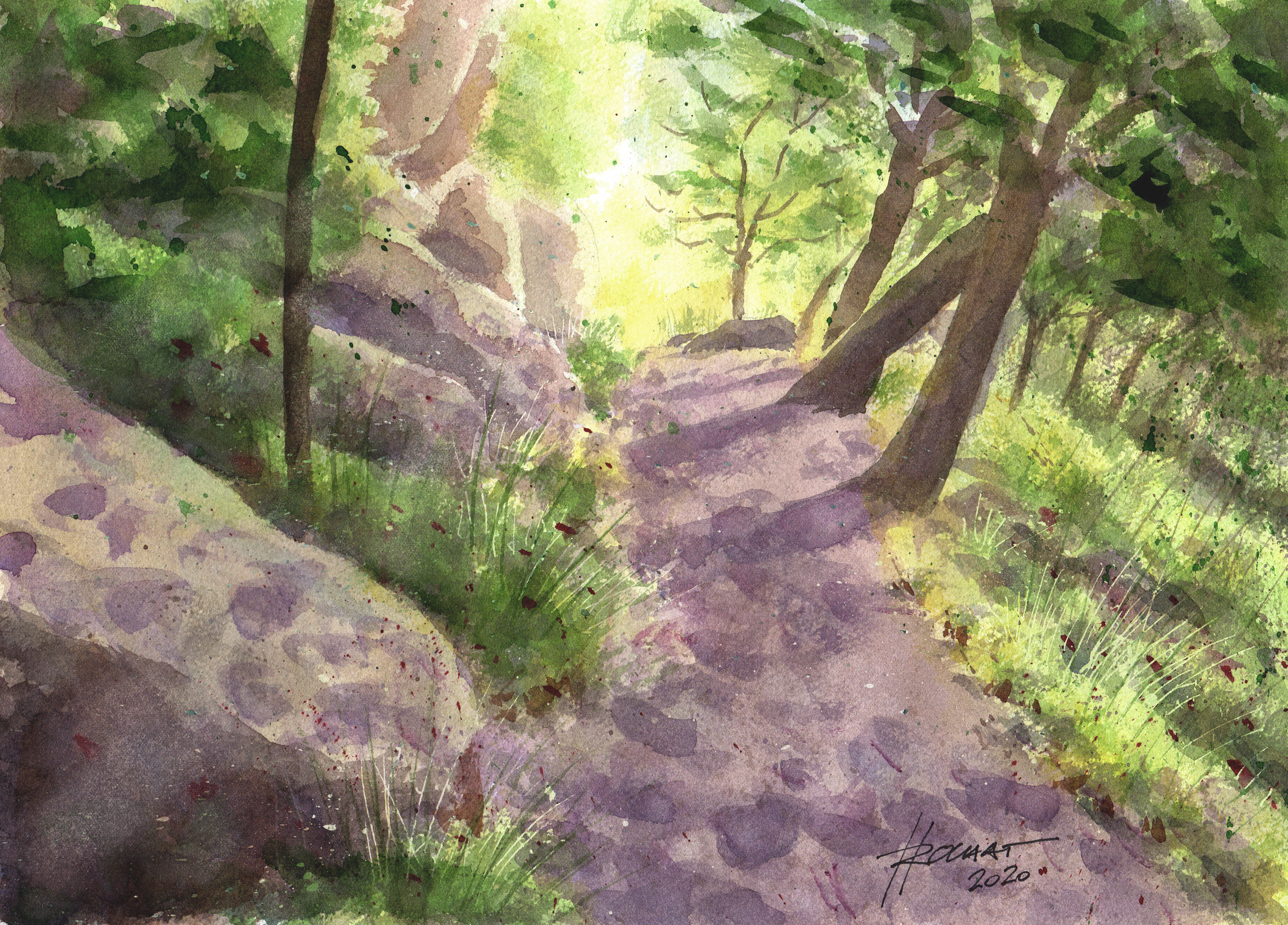 Sentier en Provence