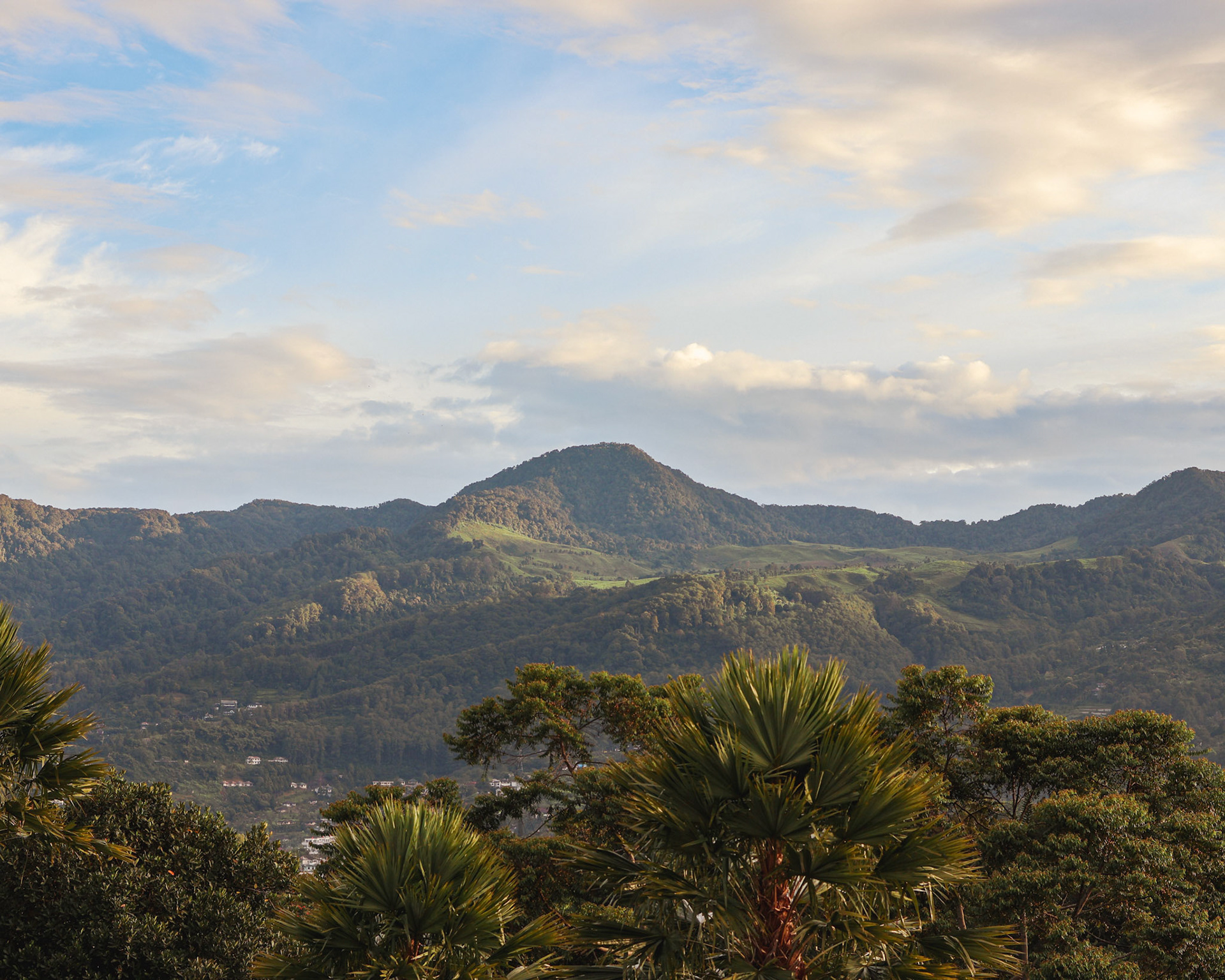 View from the hotel in Puncak, Bogor