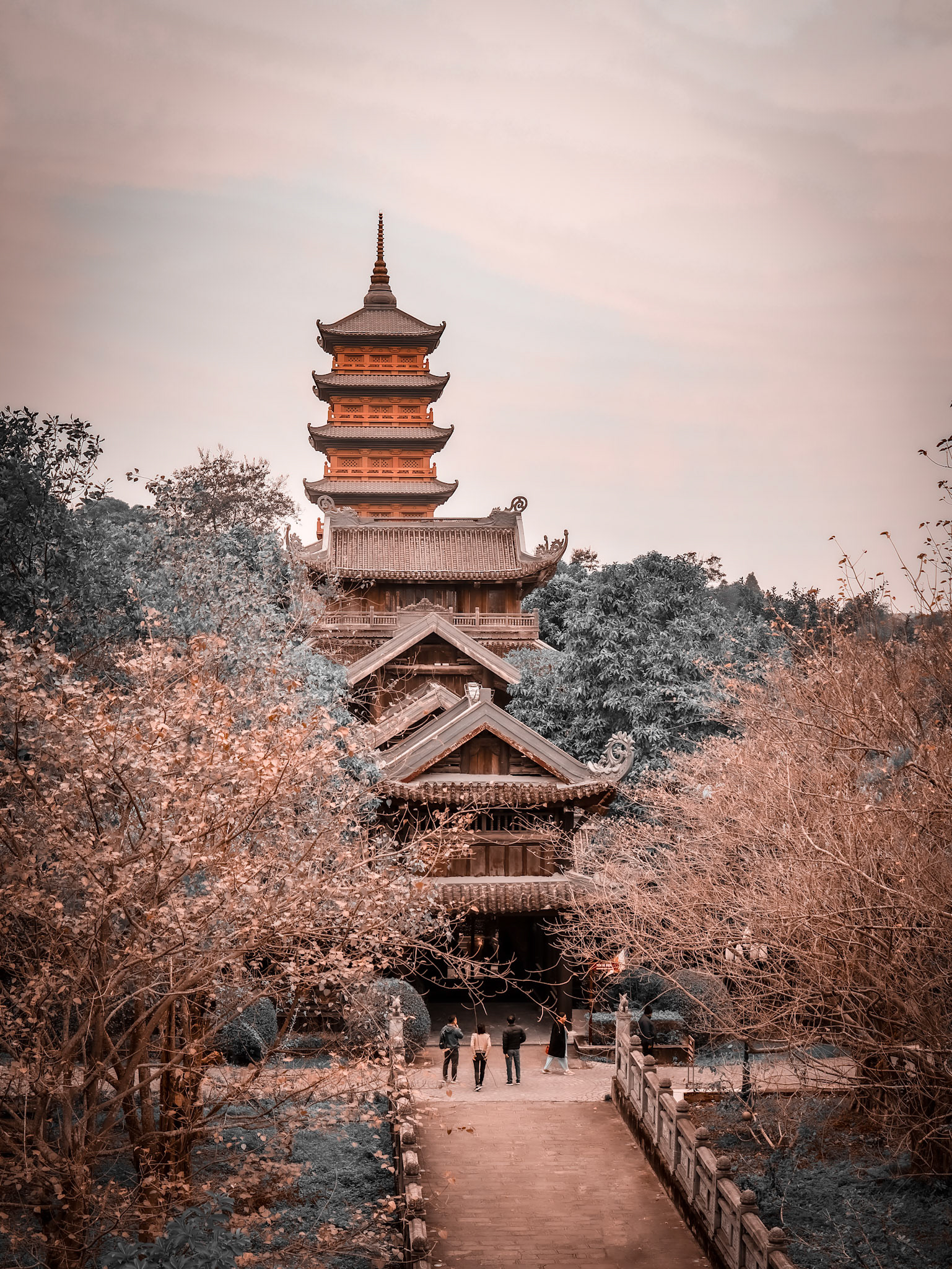 Binh Dinh pagoda in pink