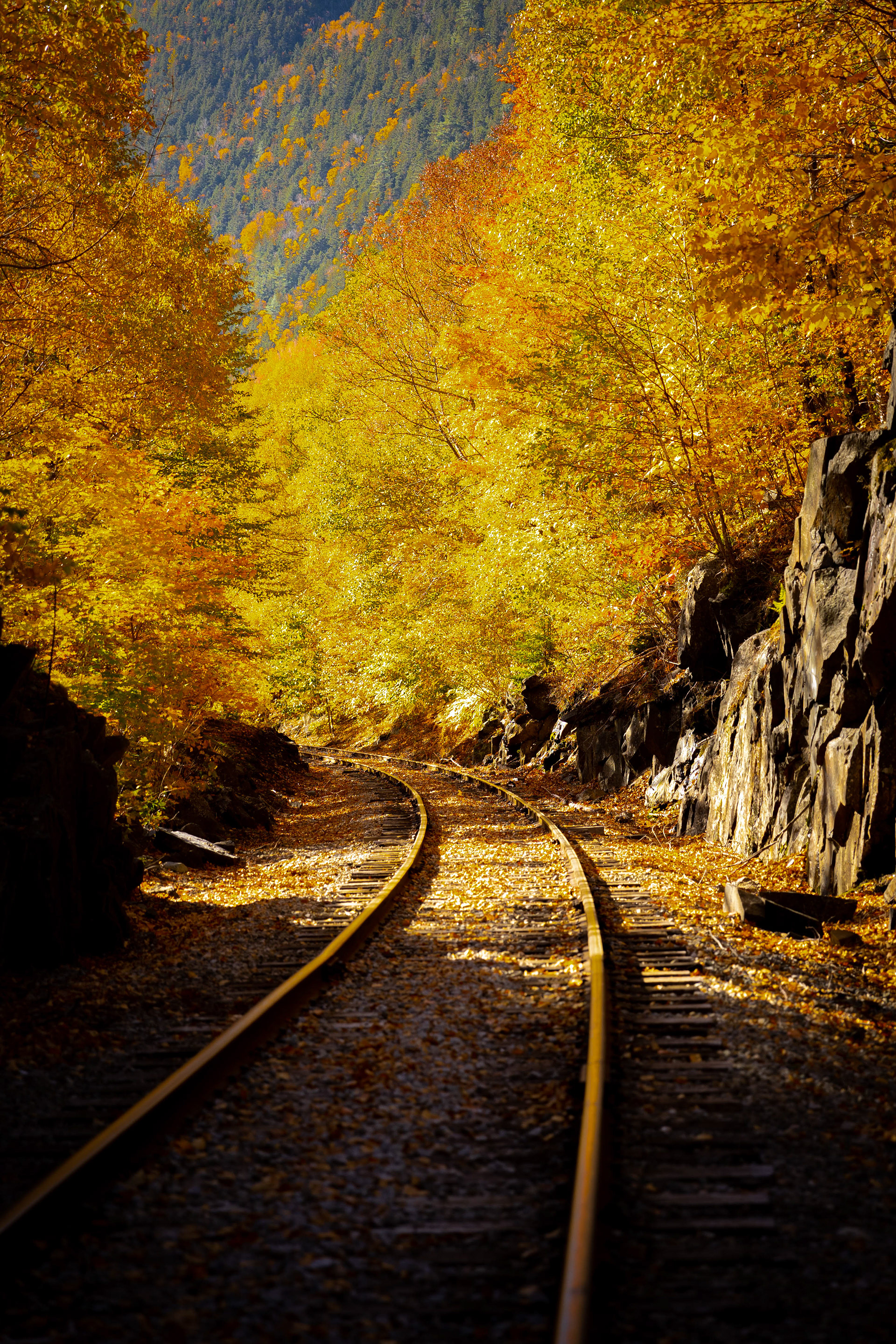 White Mountains National Forest, NH
