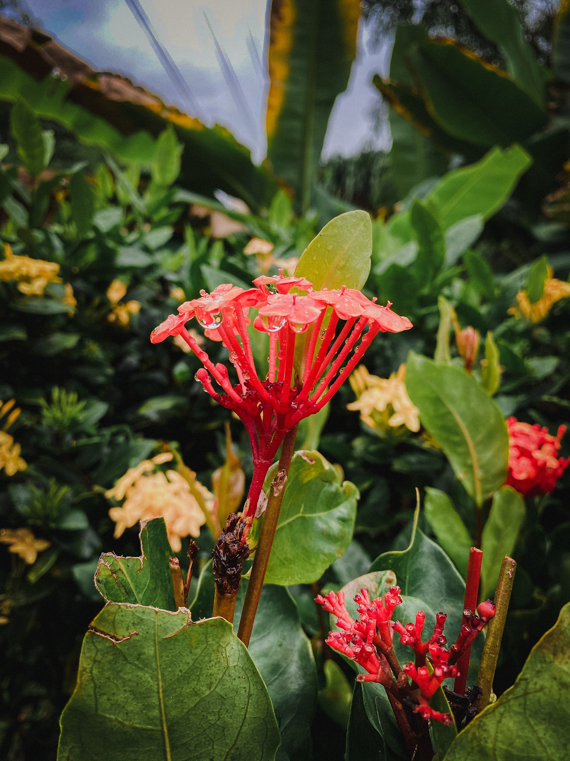 Oahu, Hawaii