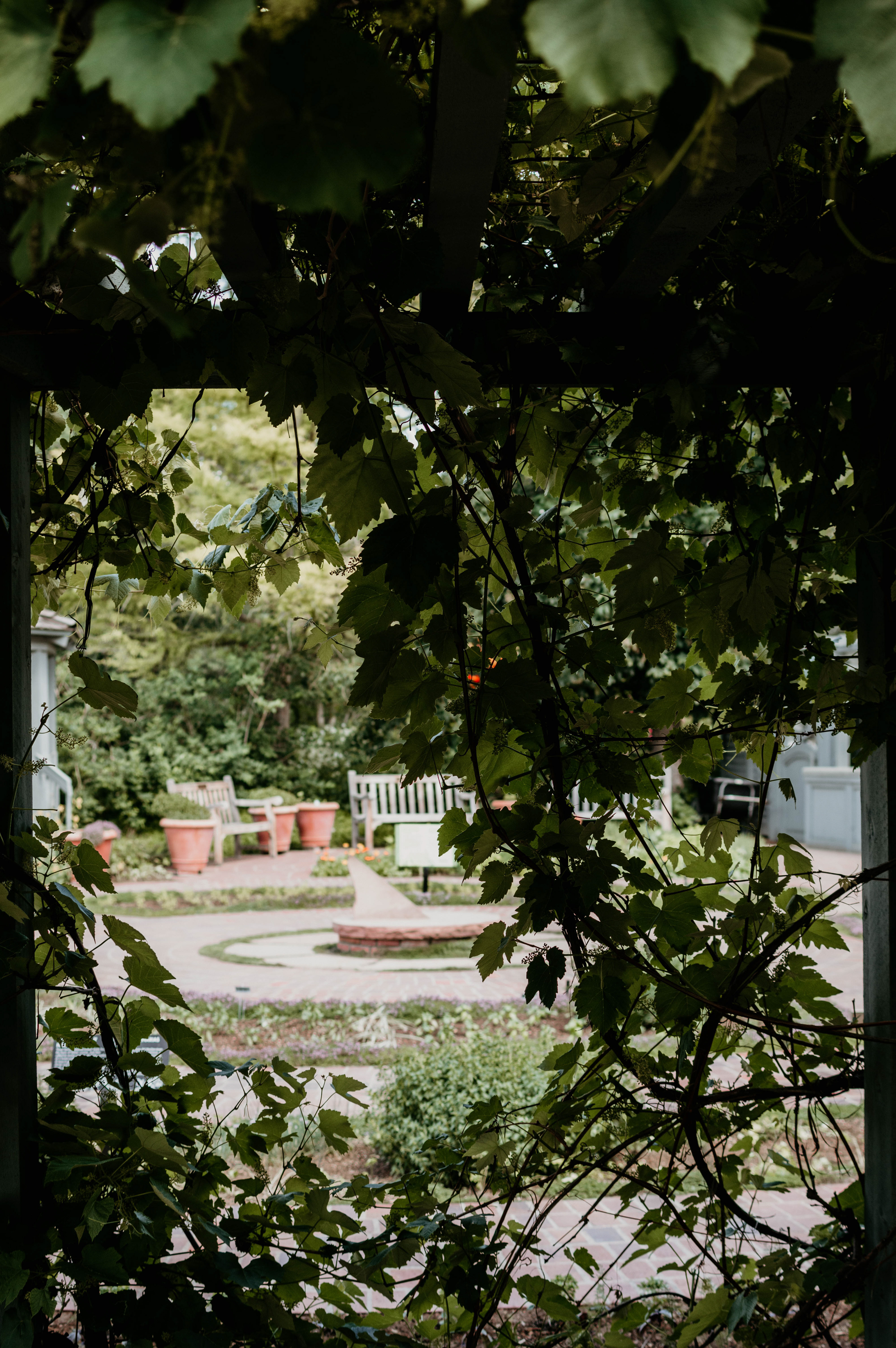 Denver Botanical Gardens 2022