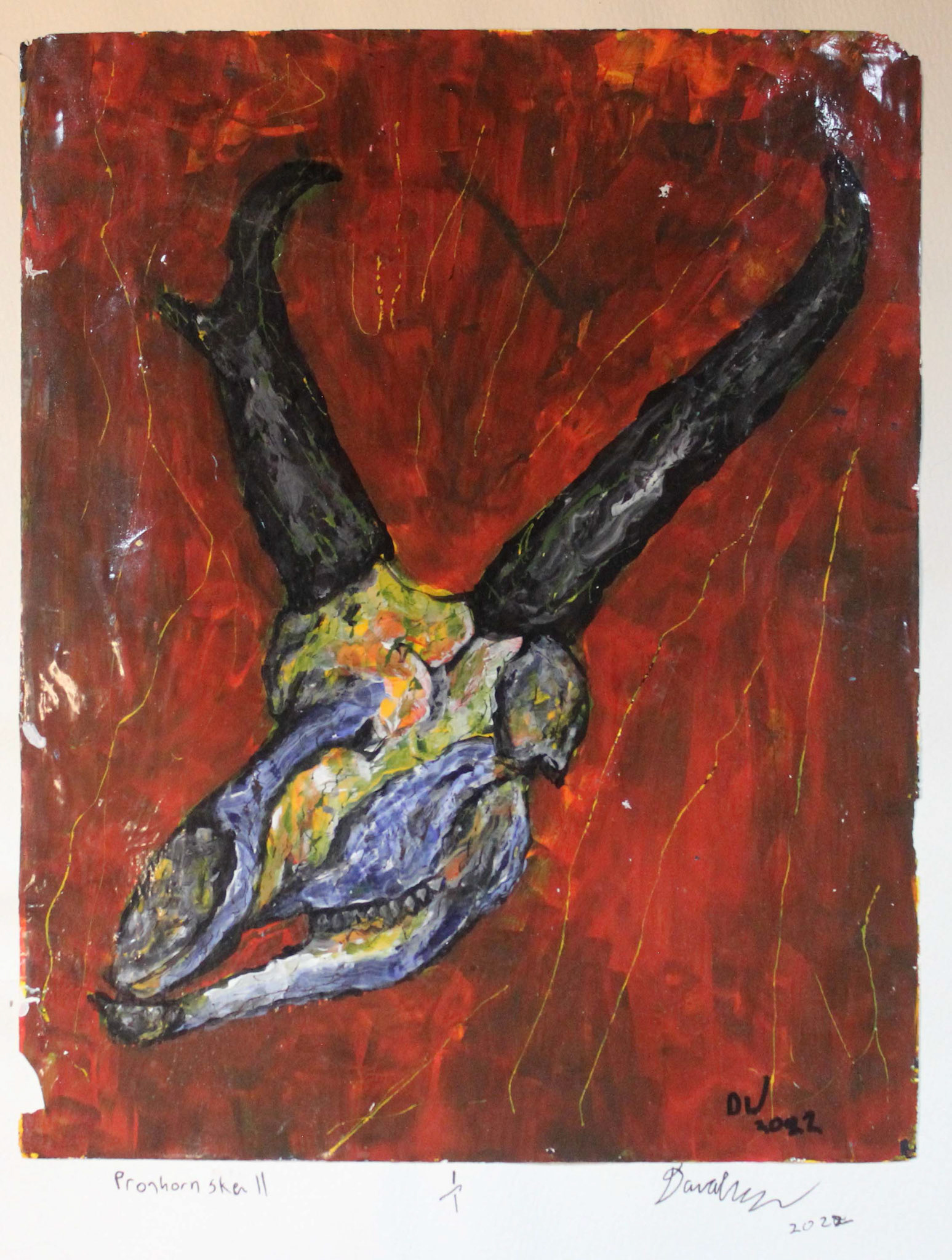 Pronhorn Skull 2022