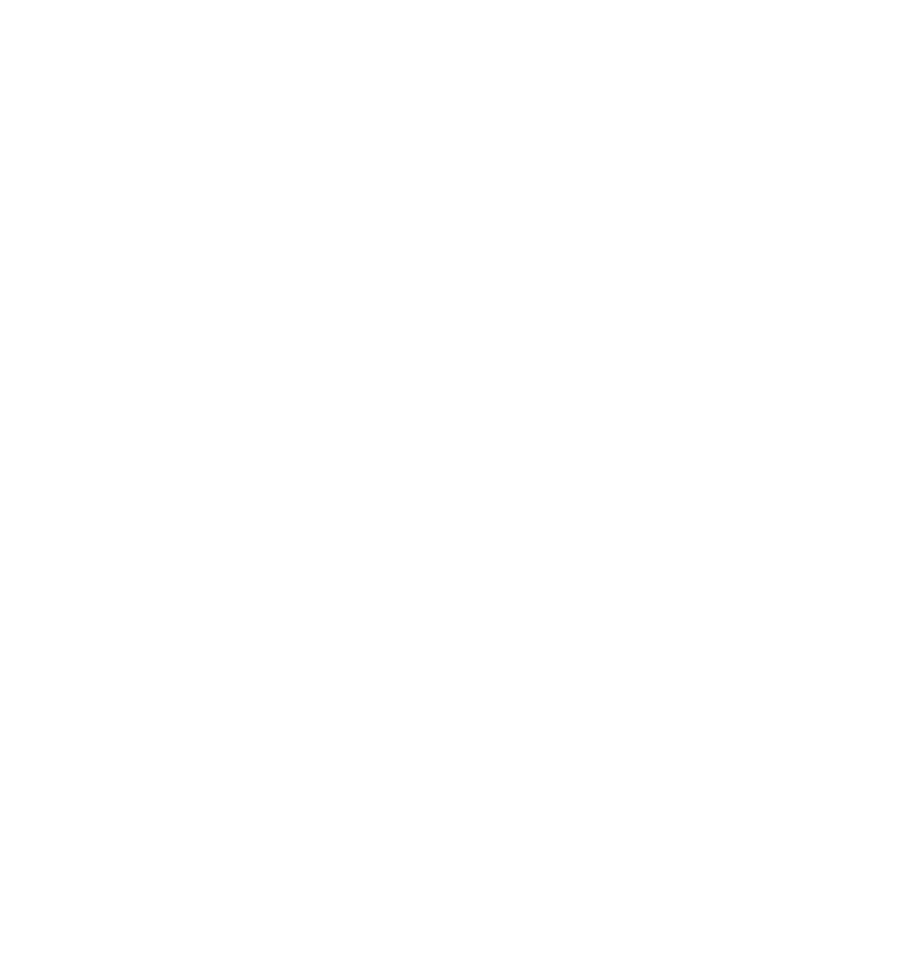 Toggle Geometry Info