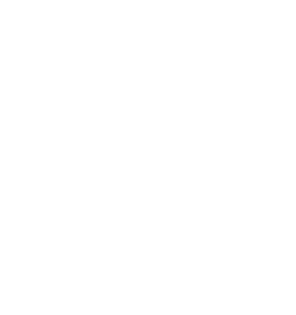 Toggle Geometry Info
