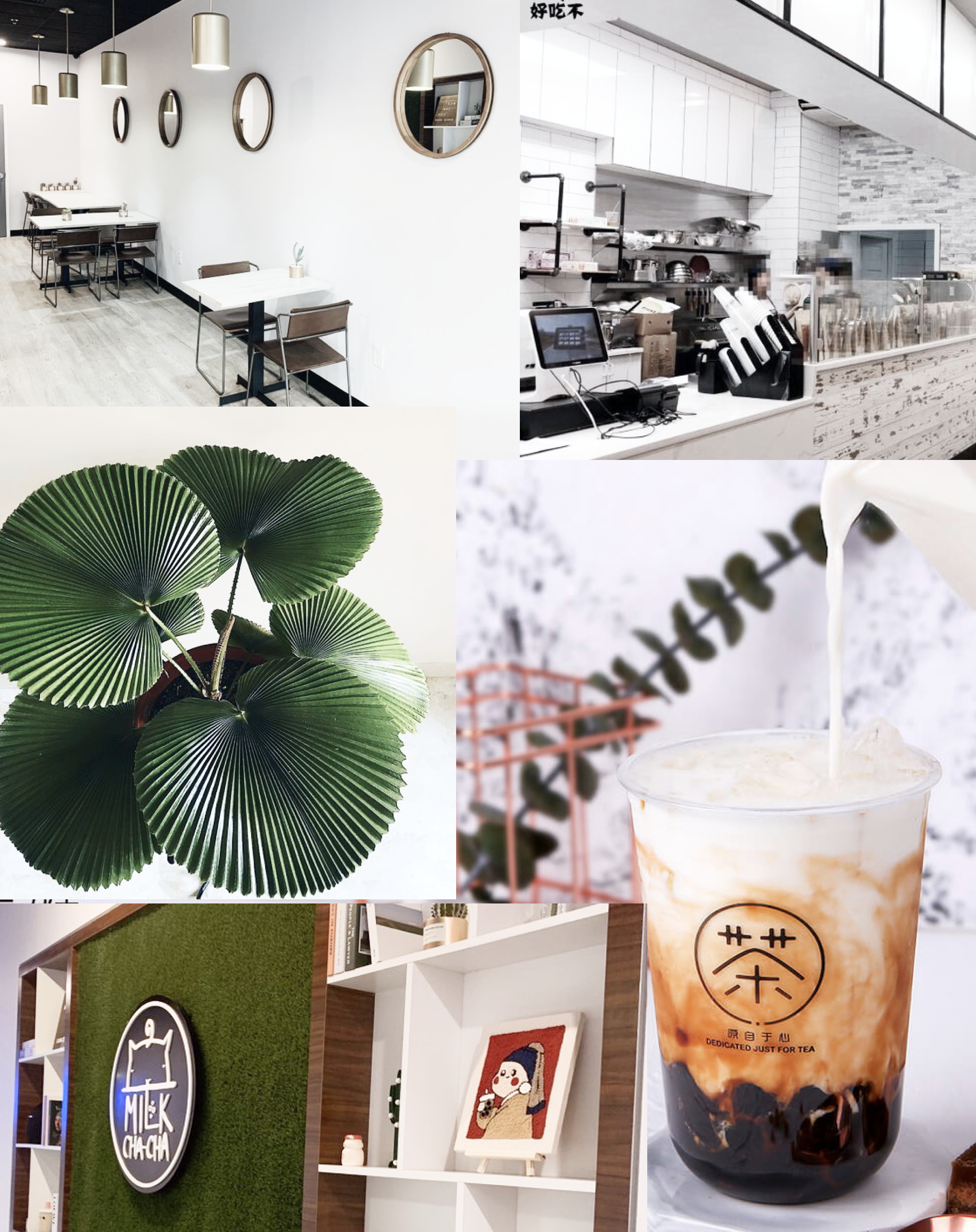 Mood board for typography brand development