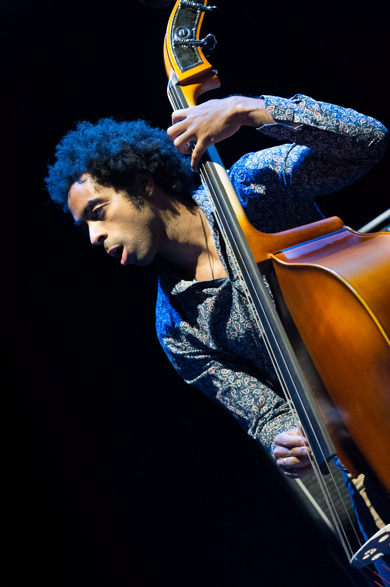 Damian Nueva Cortes   -  2018