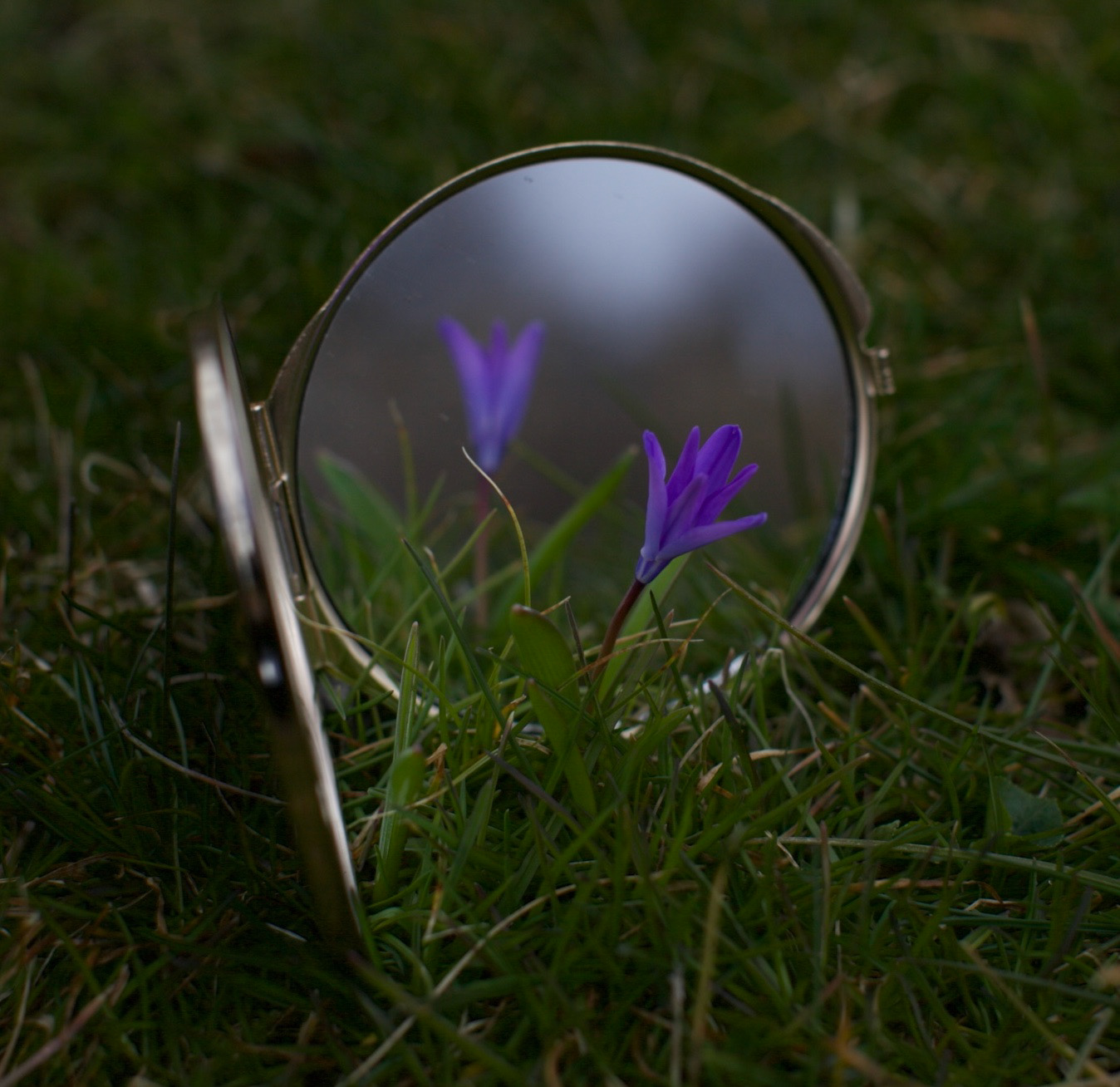 "Reflections of a Simple Life"