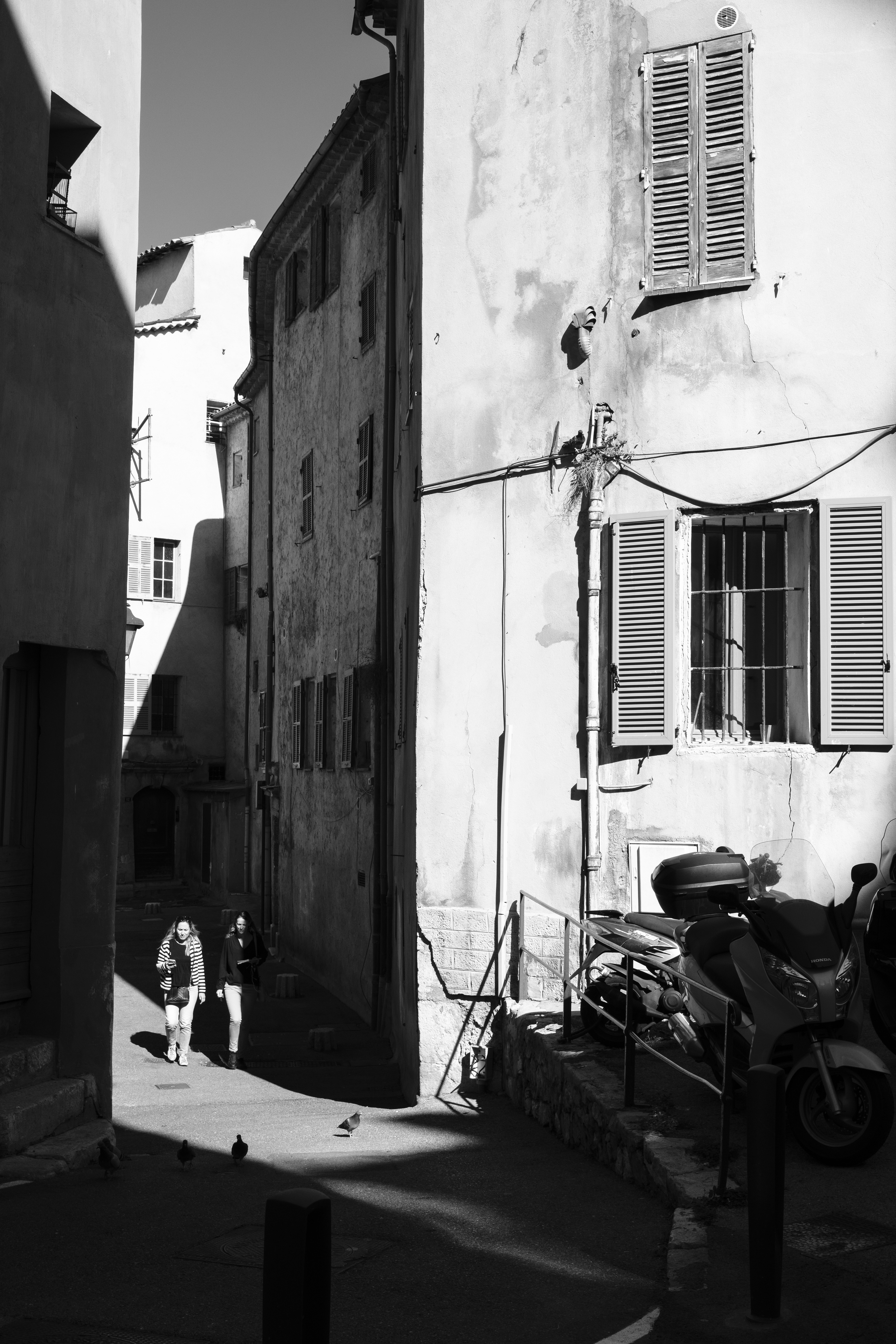 Grasse