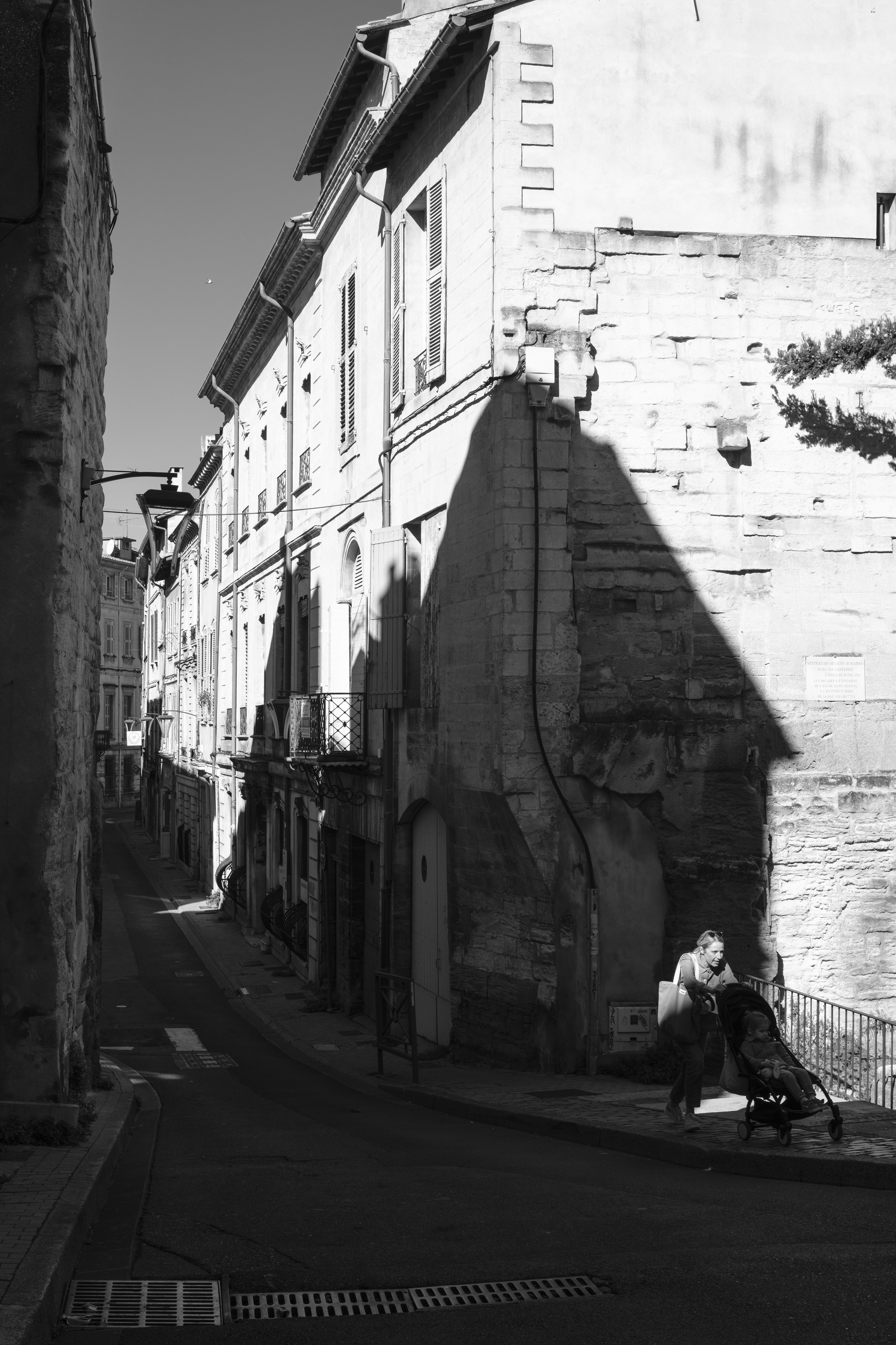 Avignon