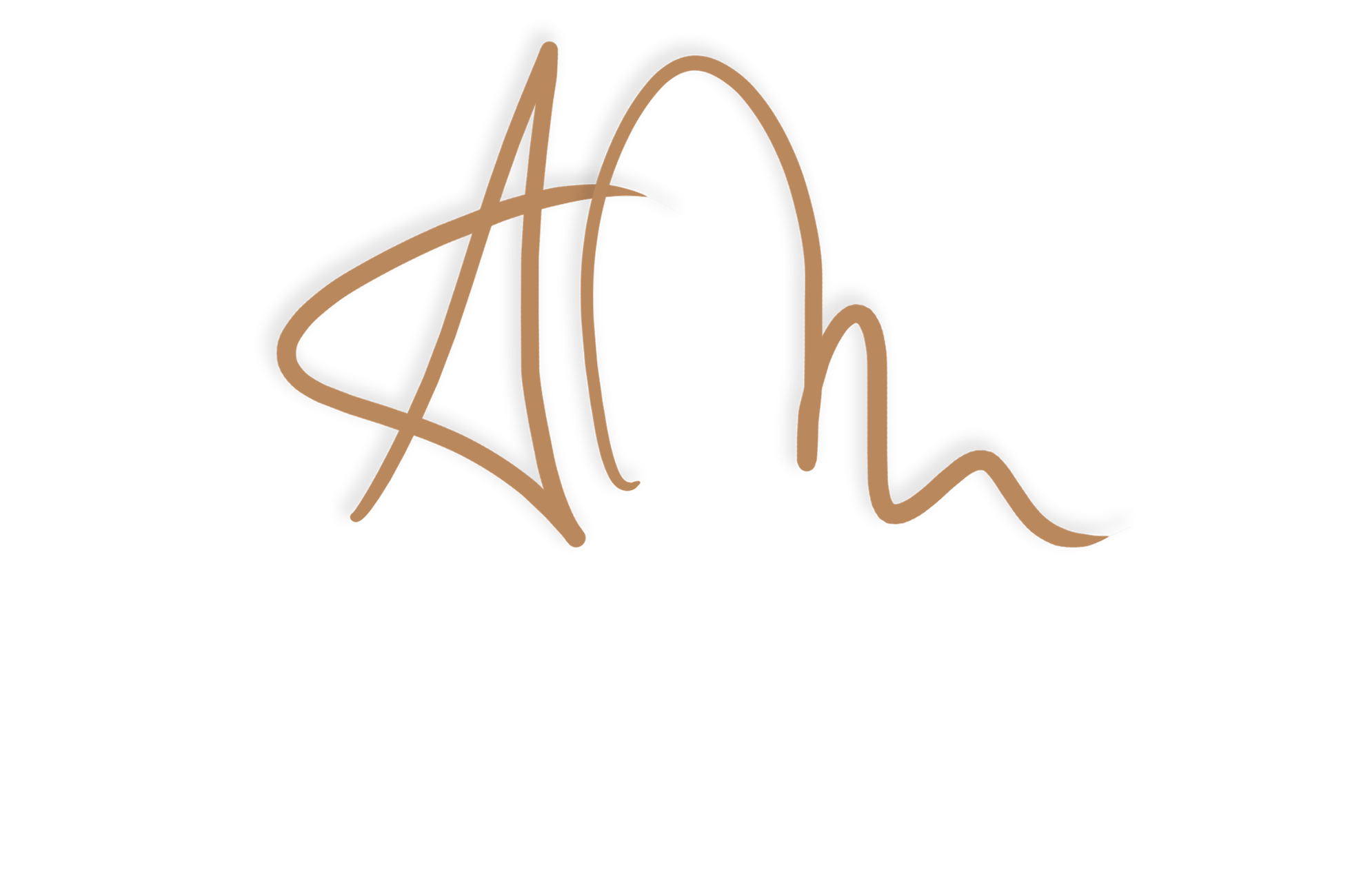 alberto merisio