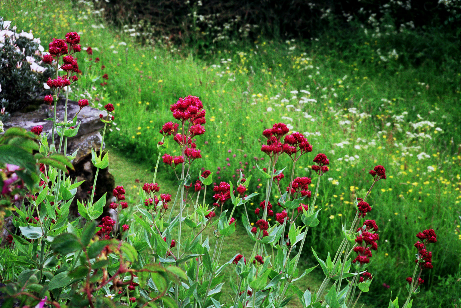Great Dixter