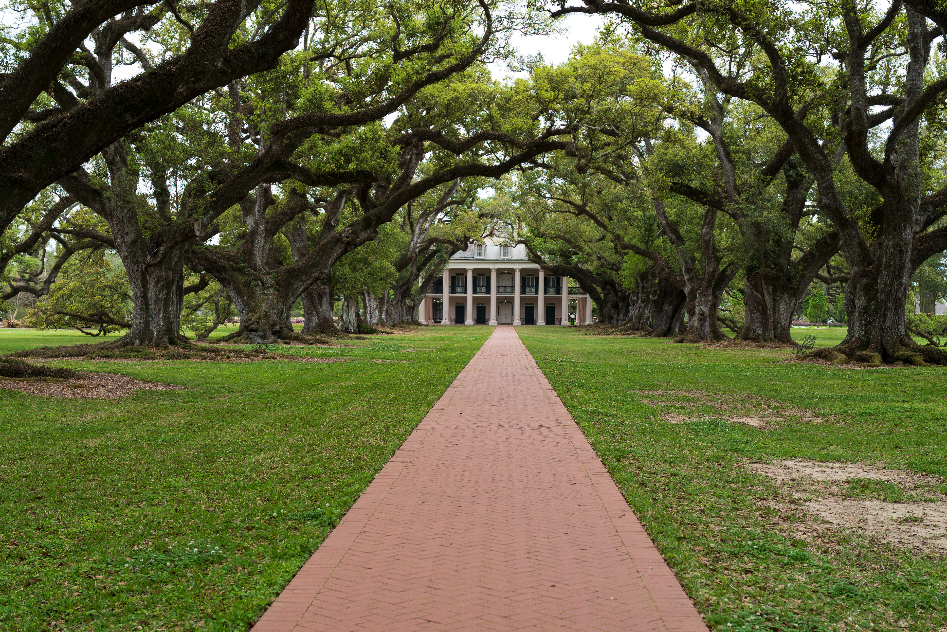 Oak Alley