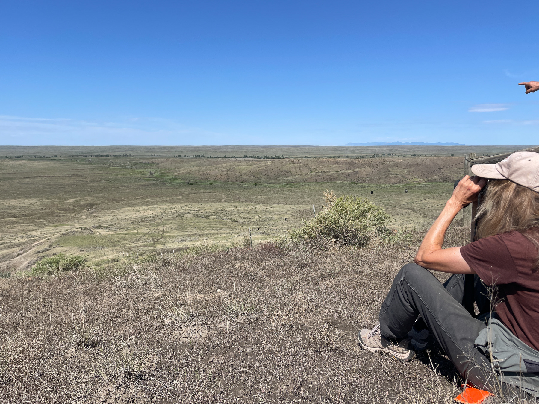 Enjoying the view