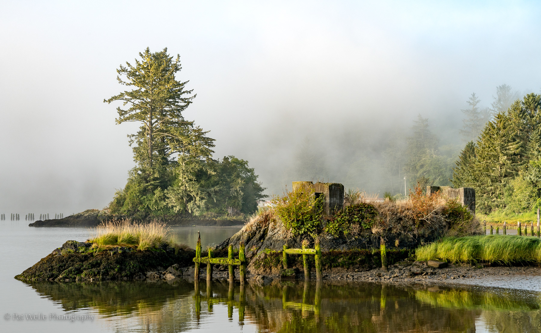 Morning at the Boat Launch