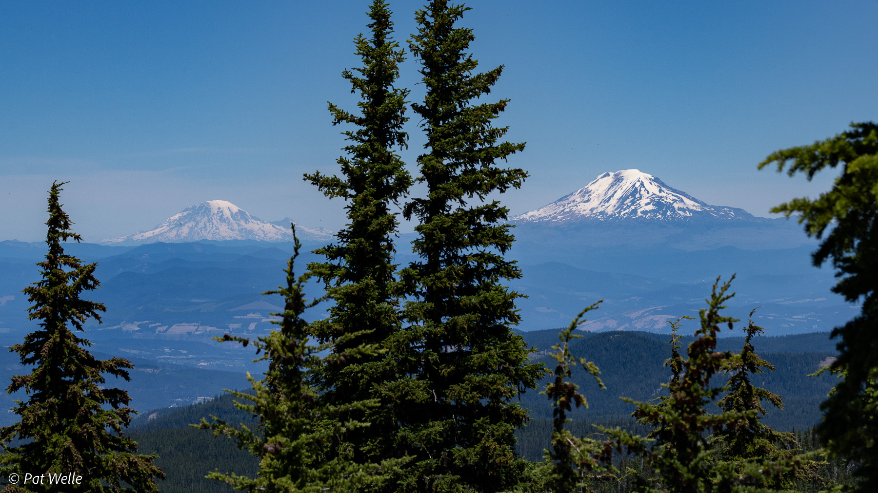 Mt. Rainier and Mt. Adams