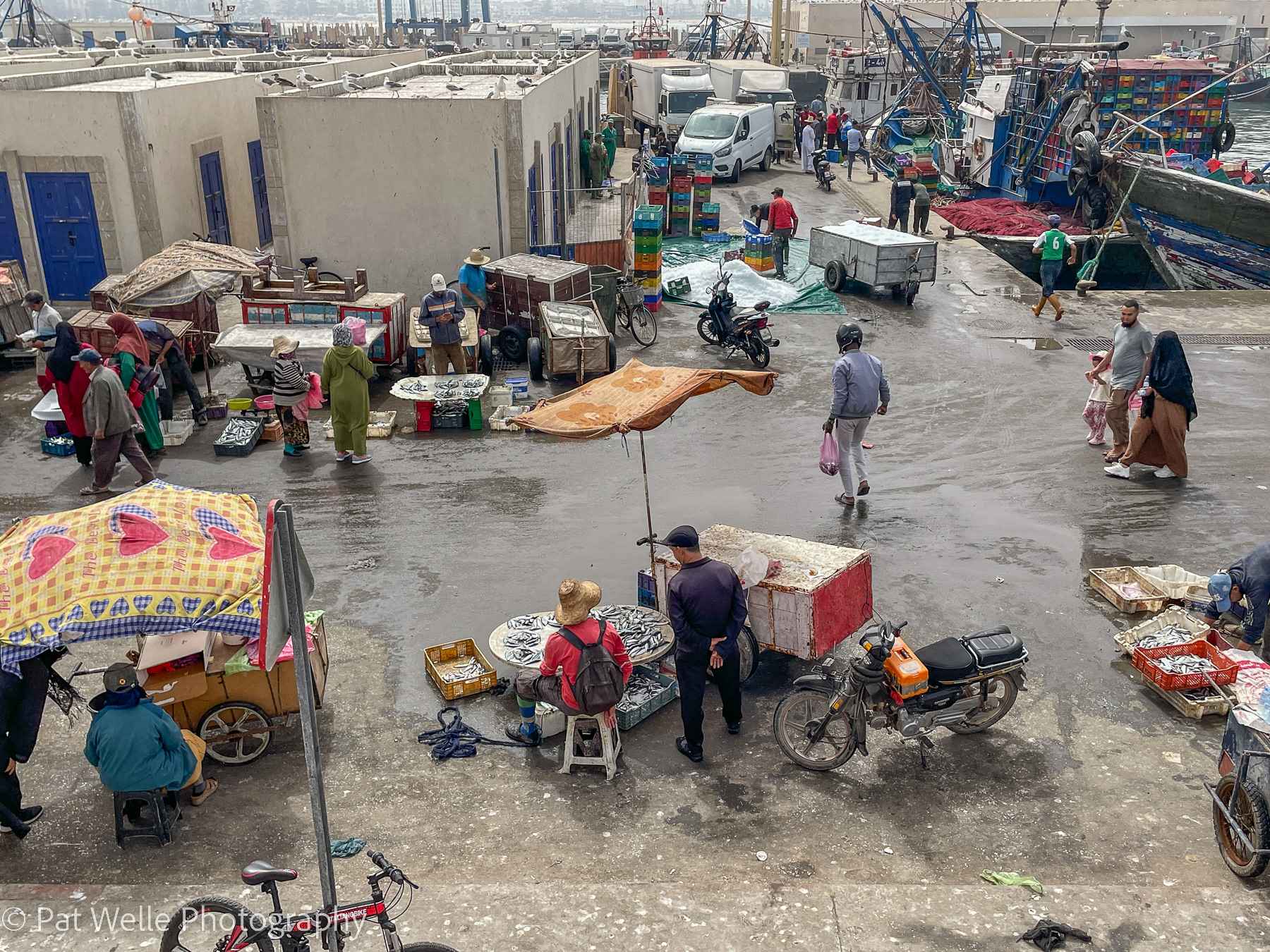Fish Market in Essaouira