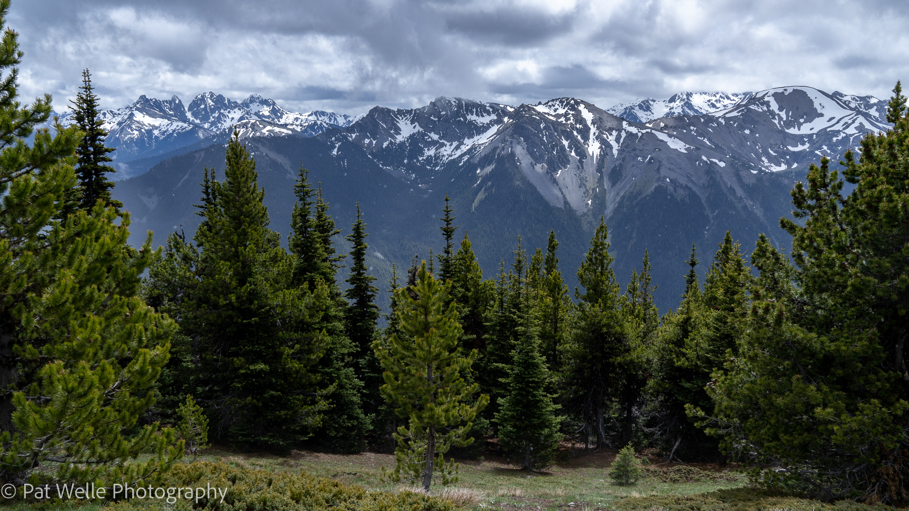 View of the Olympic Mountains