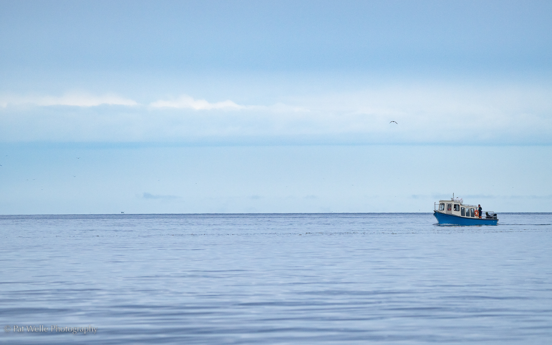 Kachemak Bay, Alaska
