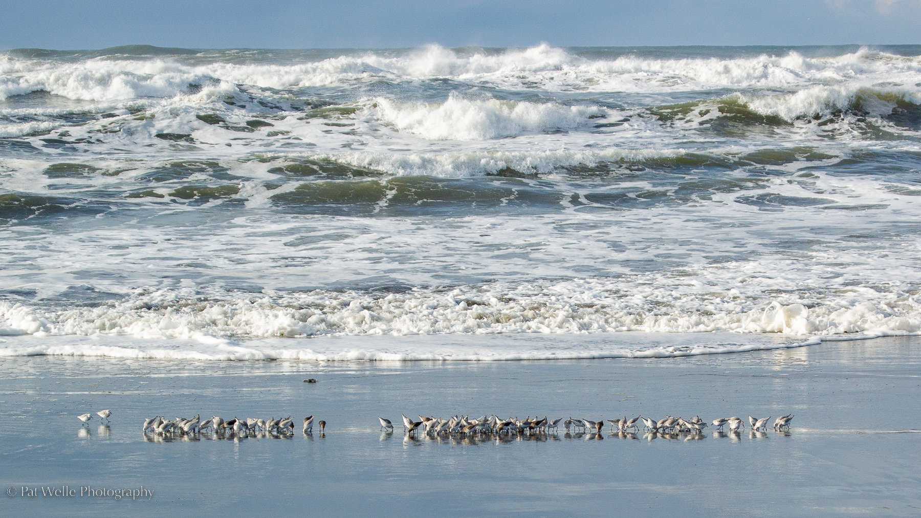 Feeding on a Tide