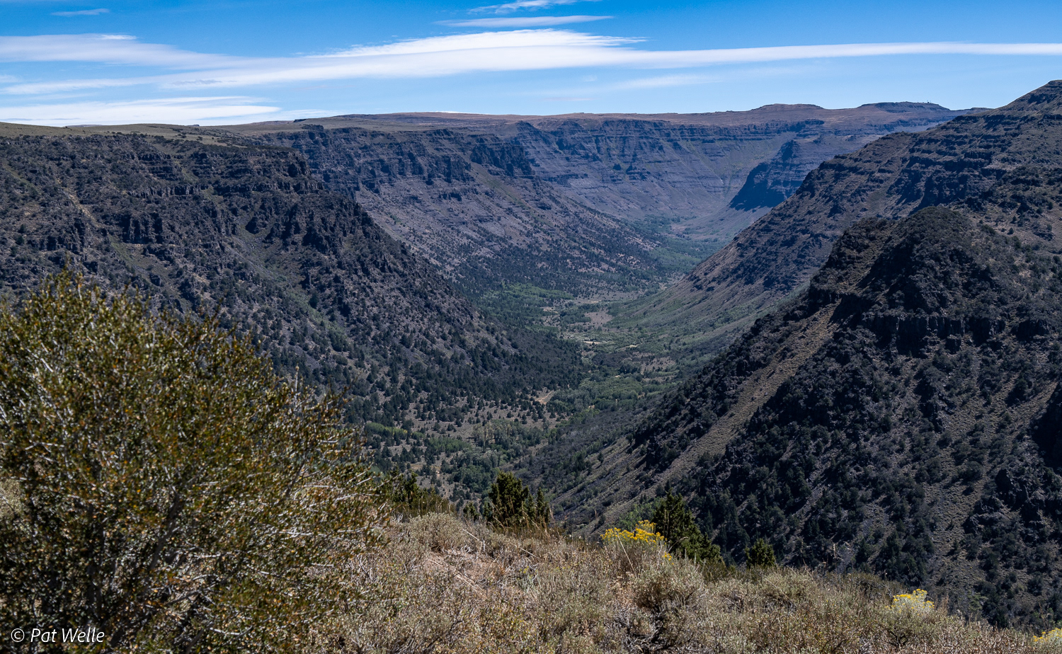 Big Indian Gorge, looking east to Steens Mountain ridge