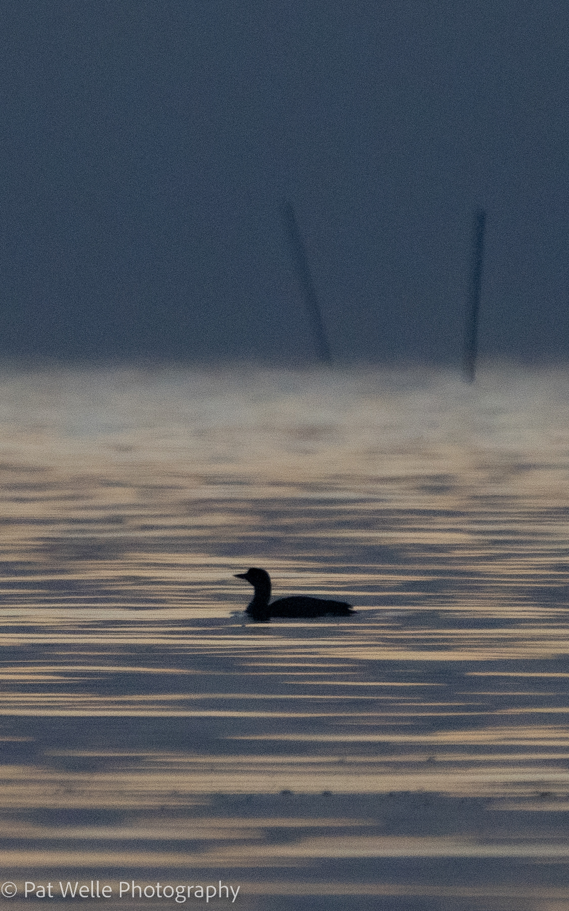 Morning on Willapa Bay