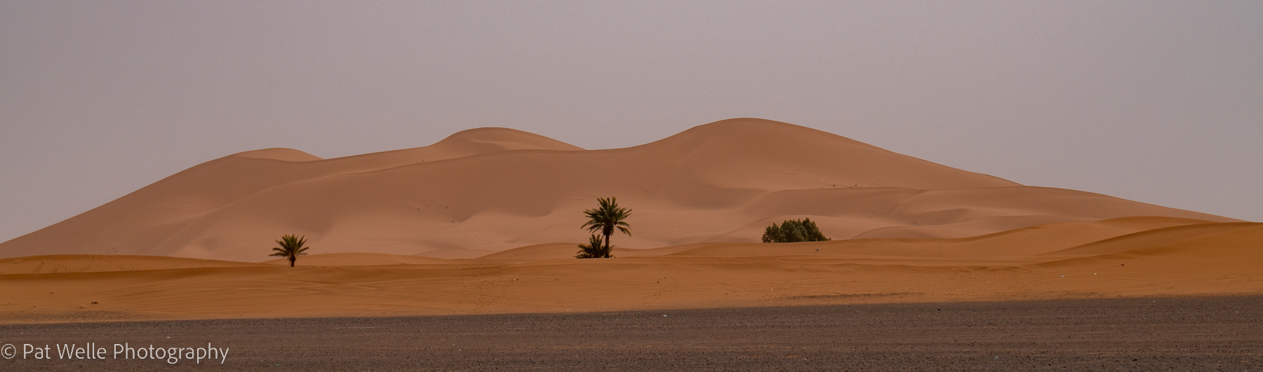 The Edge of the Sahara