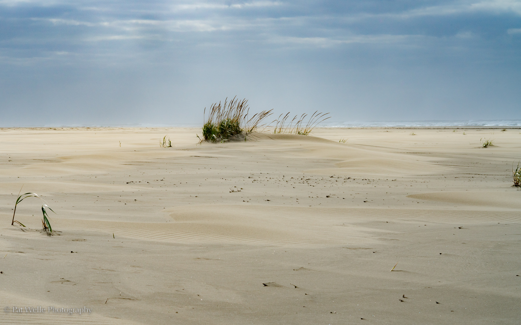 Wind on Grayland Beach