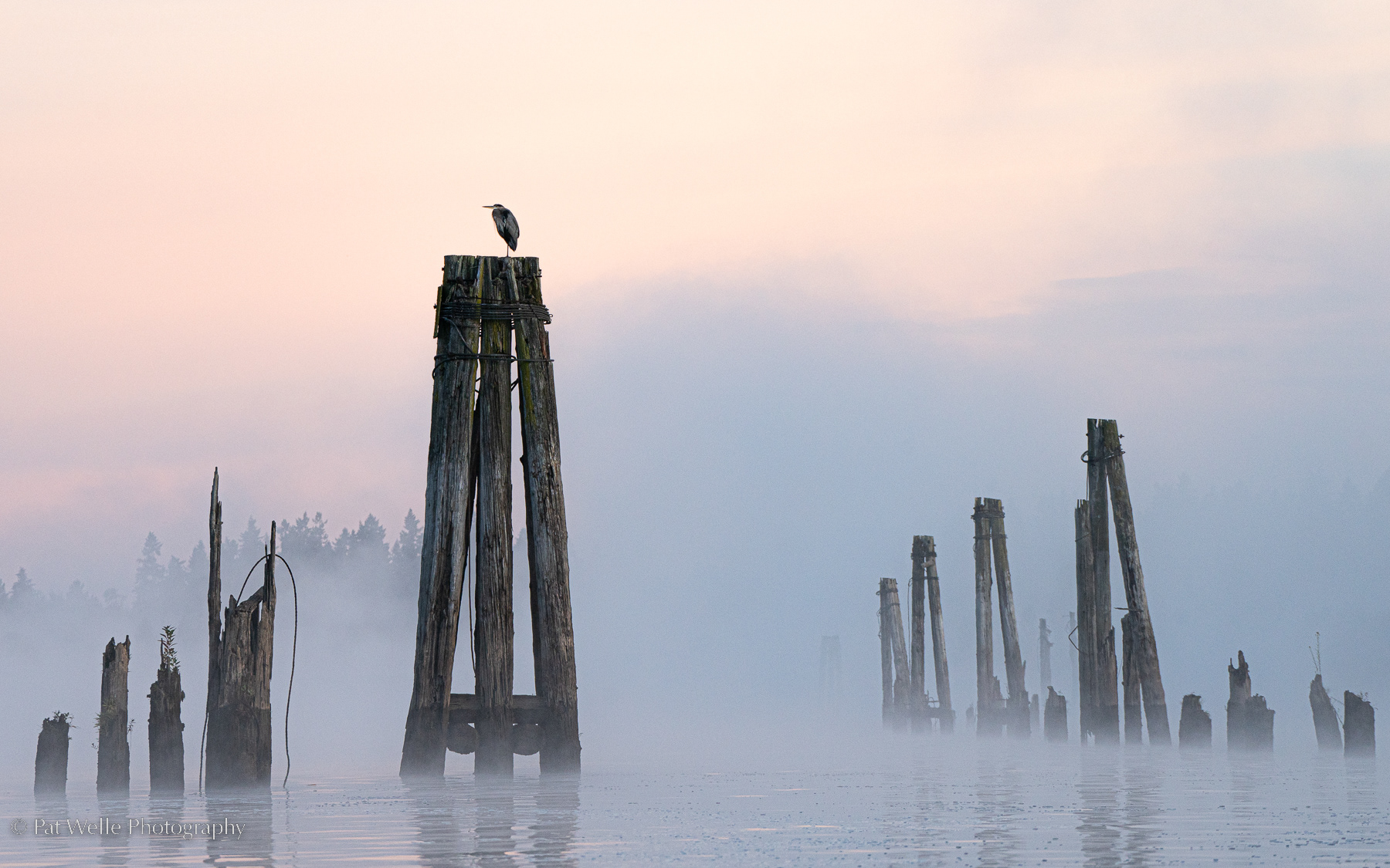 Morning on Multnomah Channel