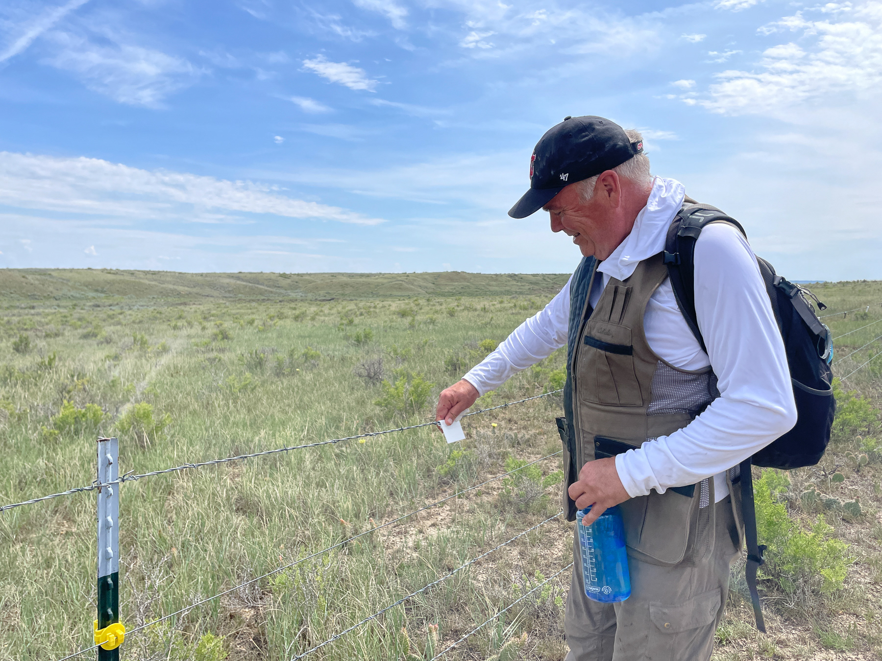 Adding flags to alert grouse and other animals