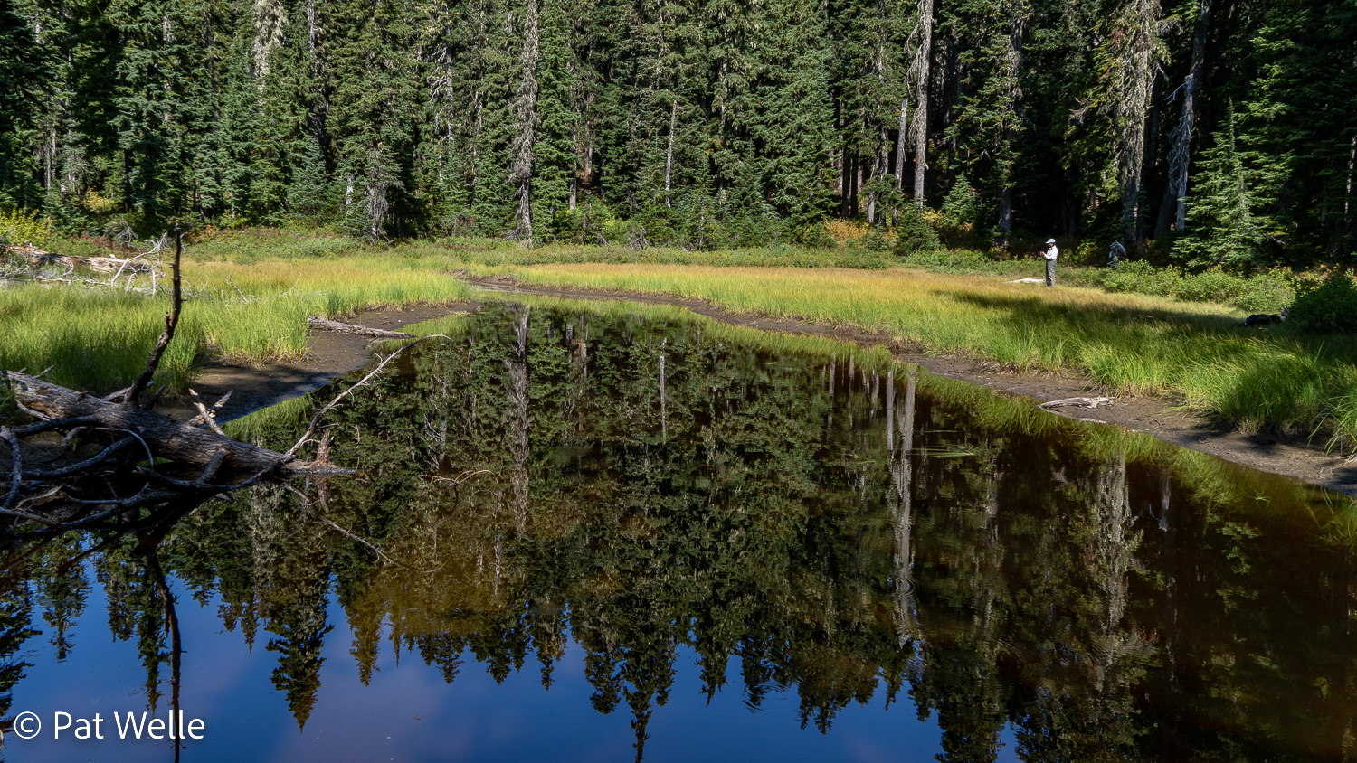 Lake along the East Glacier trail