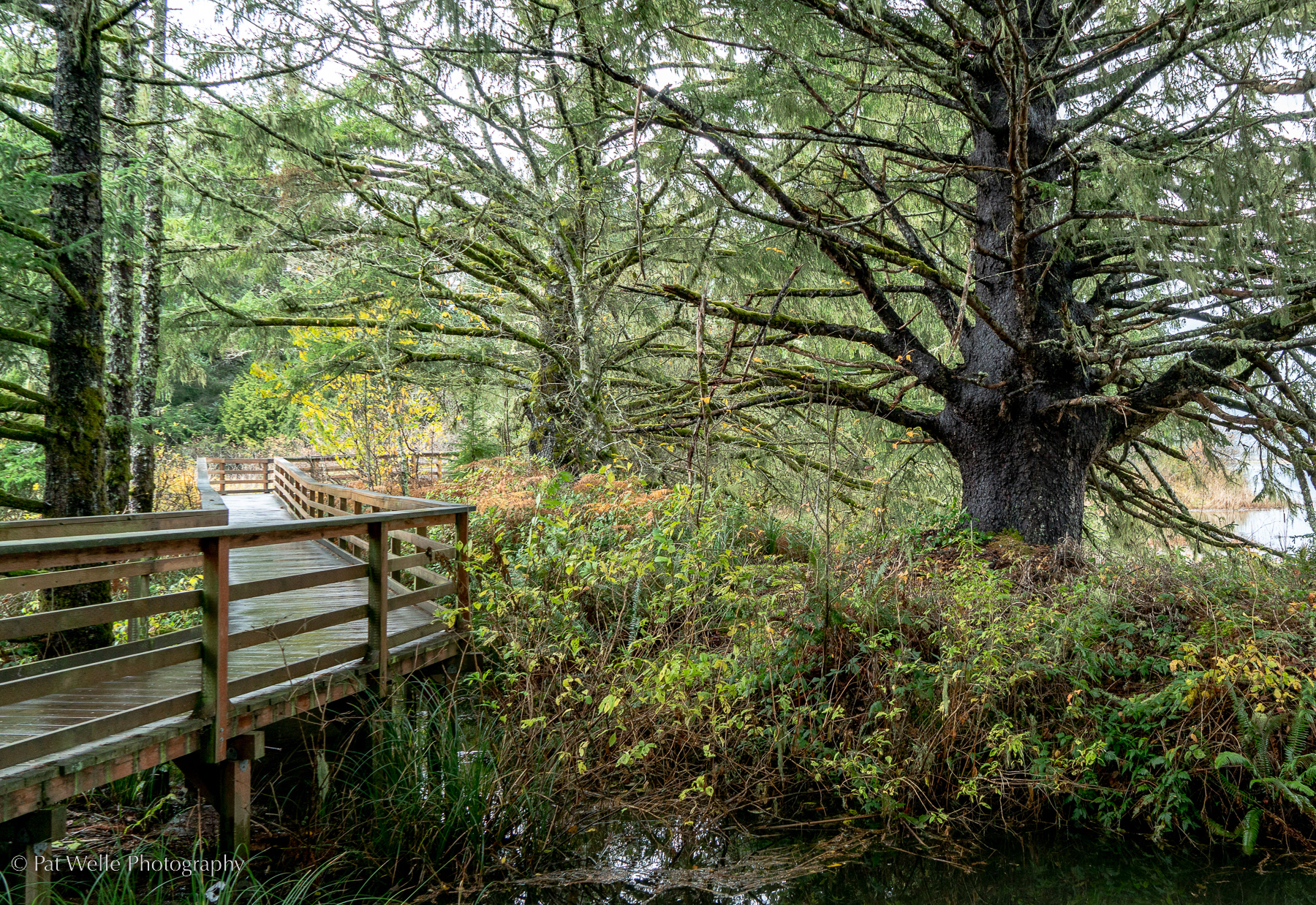 Trail in Lewis and Clark State Park