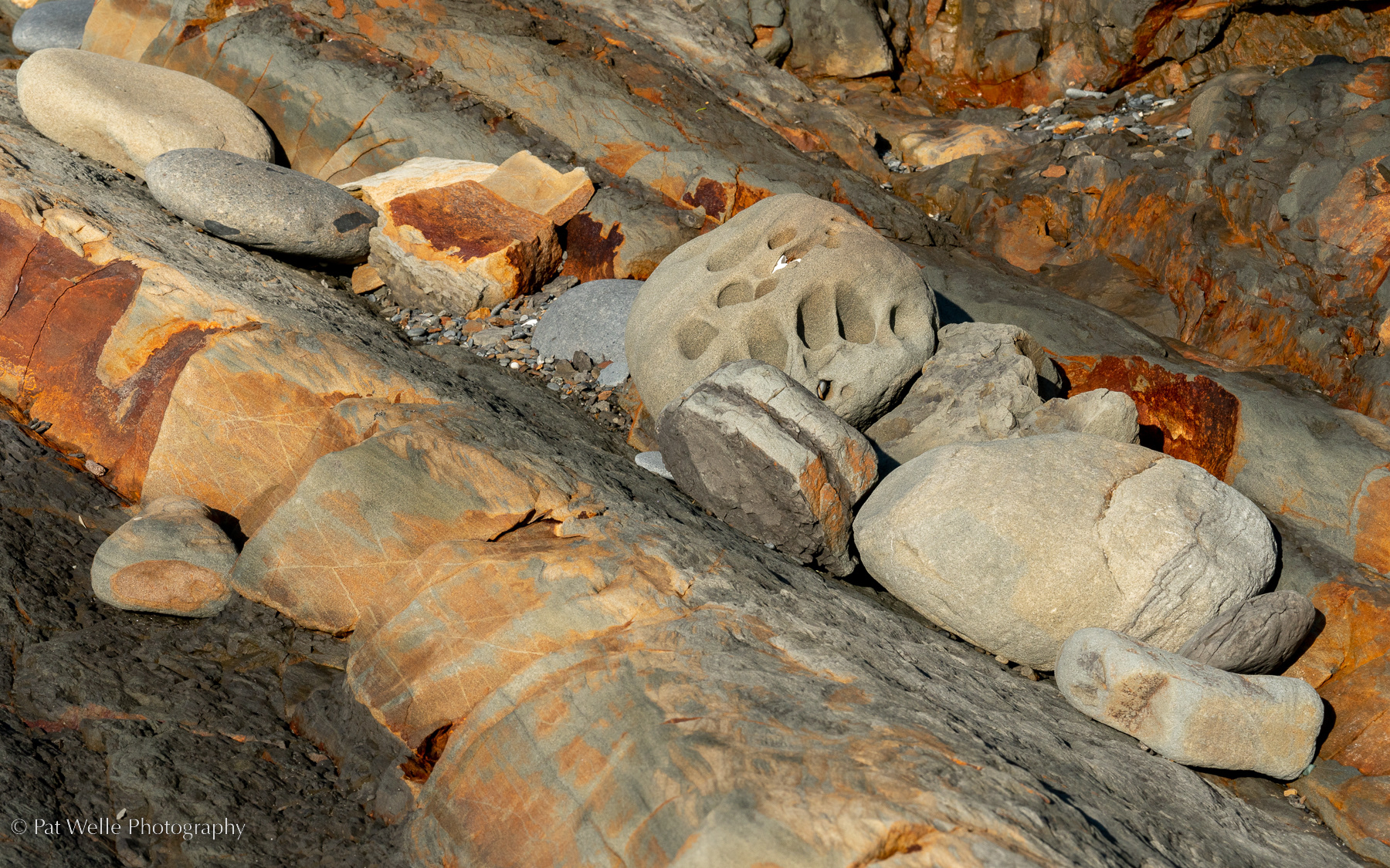 Rocky Shore on Washington's West Coast