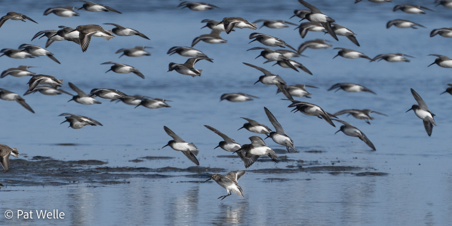 Coming in for a Landing