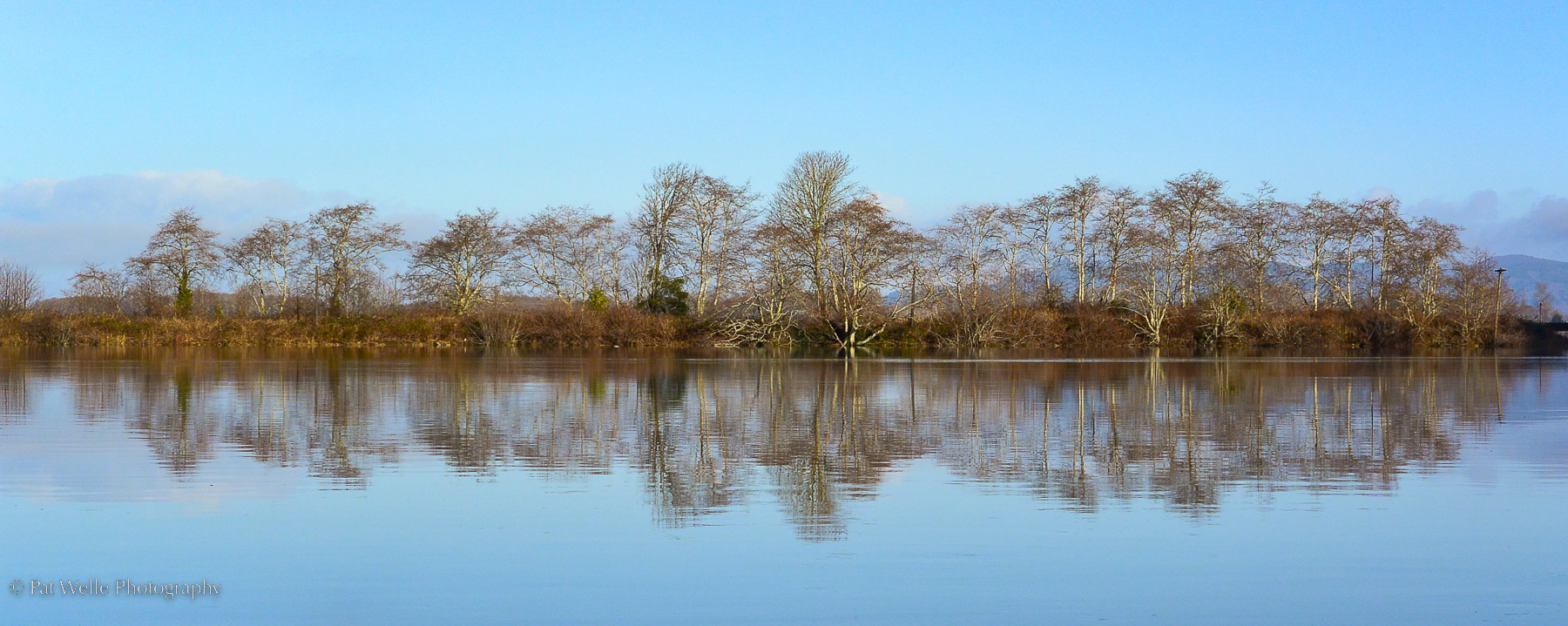 One of Many Islands
