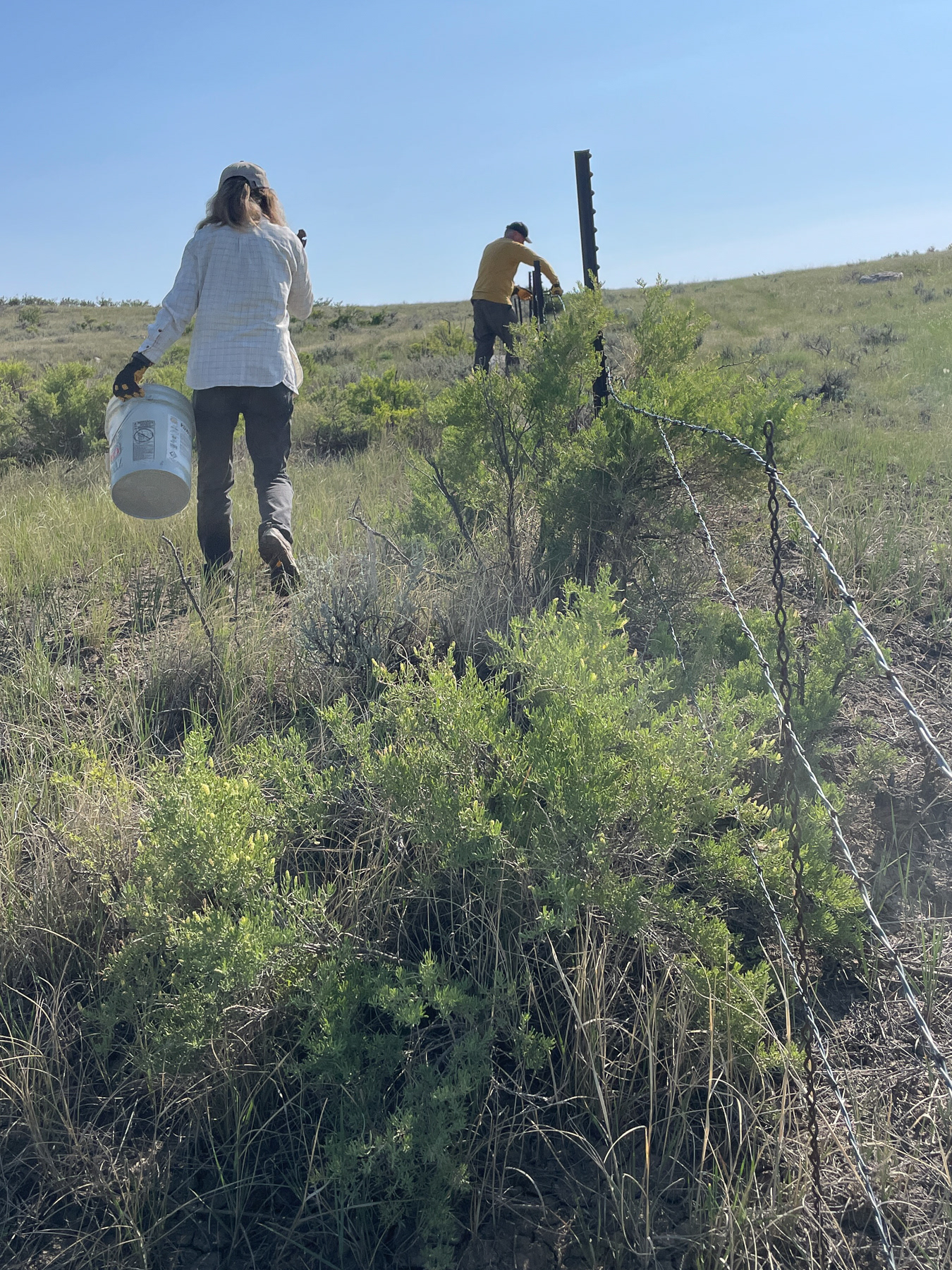 Removing fence clips