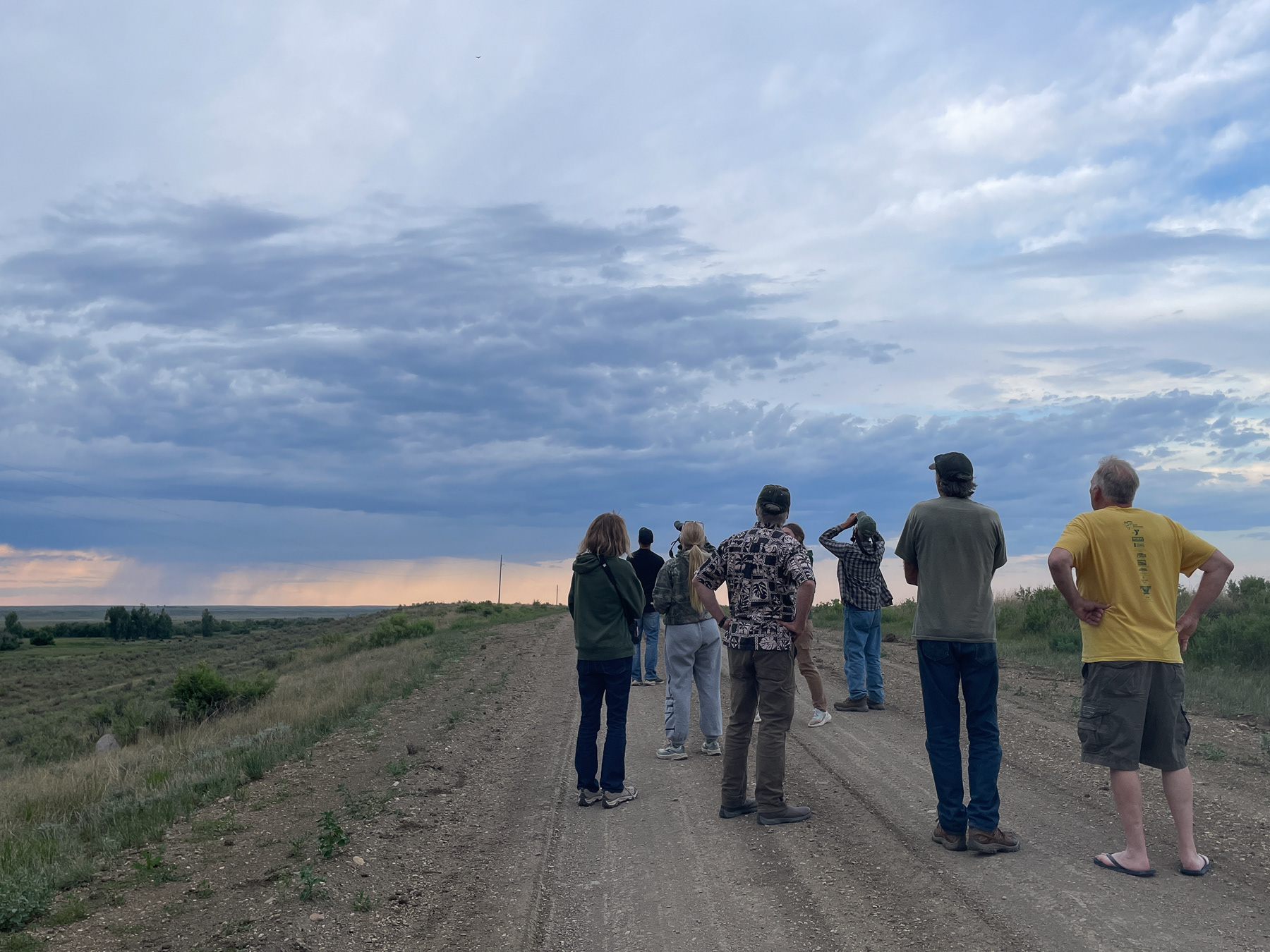 An evening birding, with an approaching storm