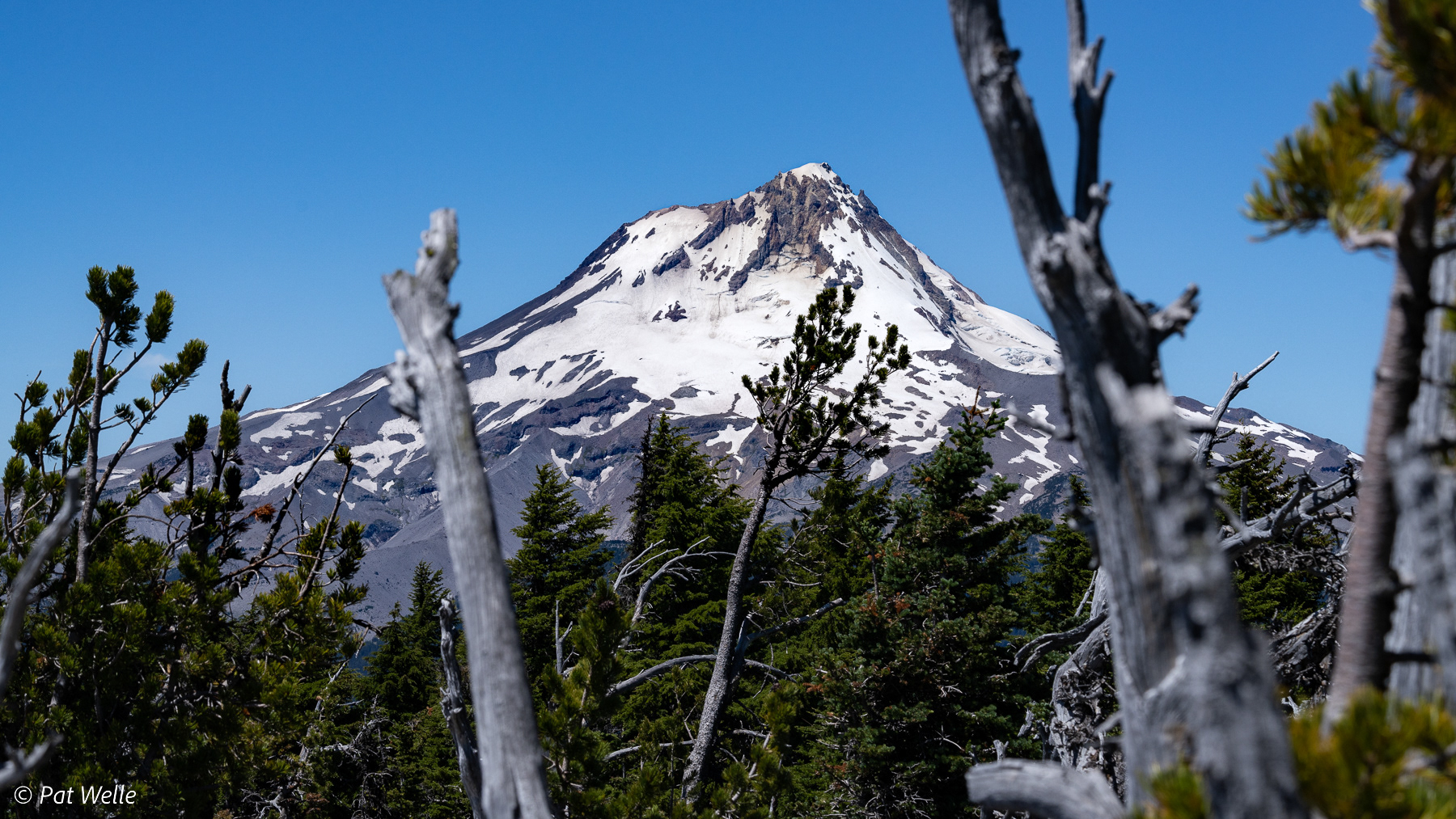 Mt. Hood